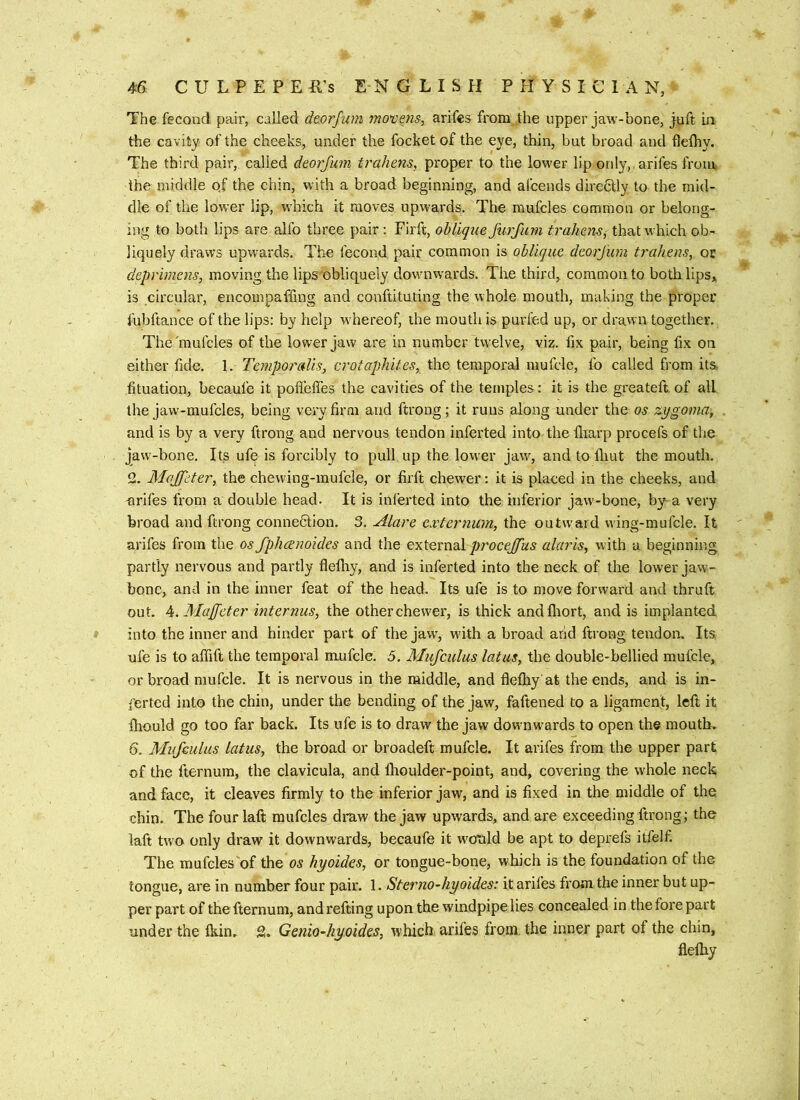 The fecond pair, called deorfum movms, arifes from the upper jaw-bone, juft in the cavity of the cheeks, under the focketof the eye, thin, but broad and deihy. The third pair, called deoj'fum trahens, proper to the lower lip only,, arifes from the middle of the chin, with a broad beginning, and afcends direCtly to the mid- dle of the lower lip, which it moves upwards. The mufcles common or belong- ing to both lips are alfo three pair; Firft, oblique furfum trahens, that which ob- liquely draws upwards. The fecond pair common is oblique deorfum trahens, or deprimens, moving the lips obliquely dowmwards. The third, common to both lips* is circular, encompaffing and conftituting the whole mouth, making the proper fubftance of the lips: by help w'hereof, the mouth is purfed up, or drawn together. The'mufcles of the lower jaw are in number twelve, viz. fix pair, being fix on either fide. 1. Temporalis, crotapliites, the temporal mufcle, fo called from its, lituation, becaufe it pofleffes the cavities of the temples: it is the greateft. of all the javv-mufcles, being very firm and ftrong; it runs along under the os zygoma, and is by a very ftrong and nervous tendon inferted into the fliarp procefs of the jaw'-bone. Its ufe is forcibly to pull up the lower jawq and to fliut the mouth. 2. Mojfcter, the chewing-mufcle, or firft chewer: it is placed in the cheeks, and arifes from a double head. It is inferted into the inferior jaw-bone, by a very broad and ftrong connexion. 3. Alare externum, the outward wing-mufcle. It arifes from the os fplicznoides and the external alaris, with a beginning partly nervous and partly flefliy, and is inferted into the neck of the lower jaw- bone, and in the inner feat of the head. Its ufe is to move forward and thruft out. ^.Muffeter internus, the otherchew'er, is thick andfliort, and is implanted into the inner and hinder part of the jawy with a broad arid ftrong tendon. Its ufe is to affift the temporal mufcle. 5. Mufculus latus, the double-bellied mufcle, or broad mufcle. It is nervous in the middle, and flefhy'afe the ends, and is in- ferted into the chin, under the bending of the jaw, faftened to a ligament, left it ftiould go too far back. Its ufe is to draw the jaw downwmrds to open the mouth. 6. Mufculus latus, the broad or broadeft mufcle. It arifes from the upper part of the fternum, the clavicula, and ftioulder-point, and, covering the whole neck and face, it cleaves firmly to the inferior jaw, and is fixed in the middle of the chin. The four laft mufcles draw the jaw upwards, and are exceeding ftrong; the laft two only draw it downwards, becaufe it w^ould be apt to deprefs itfelf. The mufcles'of the os hyoides, or tongue-bone, which is the foundation of the tongue, are in number four pair. 1. Sterno-hyaides: it ariles from the inner but up- per part of the fternum, andrefting upon the windpipe lies concealed in the fore part under the fkin. S. Genio-hyoides, which arifes from, the inner part of the chin, flelhy