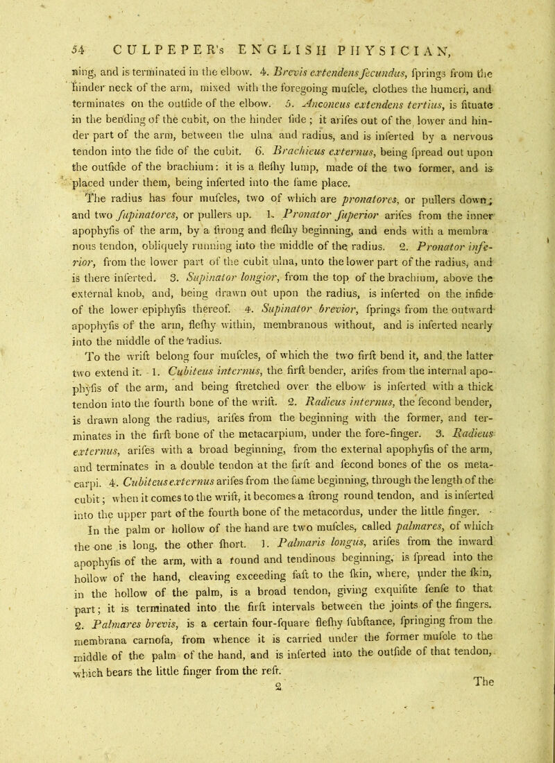 Ring, and is terminated in the elbow. 4. Brevis extendensfecundus, fprings from the hinder neck of the arm, mixed with the foregoing mufcle, clothes the humeri, and terminates on the outlide of the elbow. 5. Anconeus extendens tertius, is fltuate in the bending of the cubit, on the hinder fide ; it arifes out of the^ lower and hin- der part of the arm, between the ulna and radius, and is inferted by a nervous tendon into the fide of the cubit. 6. Brachieus externus, being fpread out upon the outhde of the brachium: it is a flefliy lump, made of the two former, and is placed under them, being inferted into the lame place. The radius has four mufcles, two of which are pronatores, or pullers down; and two fiipinatores^ or pullers up. L Pronator Juperior arifes from the inner apophyhs of the arm, by a ftrong and flefliy beginning, and ends with a membra nous tendon, obliquely running into the middle of the radius. 2. Pronator infe- rior, from the lower part of the cubit ulna, unto the lower part of the radius, and is there inferted. 3. Supinator longior, from the top of the brachium, above the external knob, and, being drawn out upon the radius, is inferted on the infide of the lower epiphyfis thm’eof. 4. Supinator brevior, fprings from the outward- apophyfis of the arm, flefliy within, membranous without, and is inferted nearly into the middle of the'radius. To the wrift belong four mufcles, of w’hich the tw'o firft bend it, and. the latter two extend it. -1. Cubiteus internus, the firft bender, arifes from the internal apo- phyfis of the arm, and being ftretched over the elbow is inferted with a thick tendon into the fourth bone of the wrift. 2. Radieus internus, the fecond bender, is drawn along the radius, arifes from the beginning with the former, and ter- minates in the firfl; bone of the metacarpium, under the fore-finger. 3. Radieus externus, arifes with a broad beginning, from the external apophyfis of the arm, and terminates in a double tendon at the firft and fecond bones of the os meta- carpi. 4. Cubit eus ext er7ius arifes from the fame beginning, through the length of the cubit; w'henitcomestothe wrift, it becomes a ftrong round tendon, and is inferted into the upper part of the fourth bone of the metacordus, under the little finger. • In the palm or hollow of the hand are tivo mufcles, called palmares, of which the-one is long, the other Ihort. 1. Palmaris longus, arifes from the inward apophyfis of the arm, with a found and tendinous beginning, is fpread into the hollow of the hand, cleaving exceeding faft to the fl^in, where, pnder the Ikin, in the hollow of the palm, is a broad tendon, giving exquifite fenfe to that part; it is terminated into the firft intervals between the joints of the fingers. 2. Palmares brevis, is a certain four-fquare flefliy fubftance, fpringing from the membrana carnofa, from whence it is carried under the former mulole to the middle of the palm of the hand, and is inlerted into the outfide of that tendon, which bears the little finger from the reft. 2