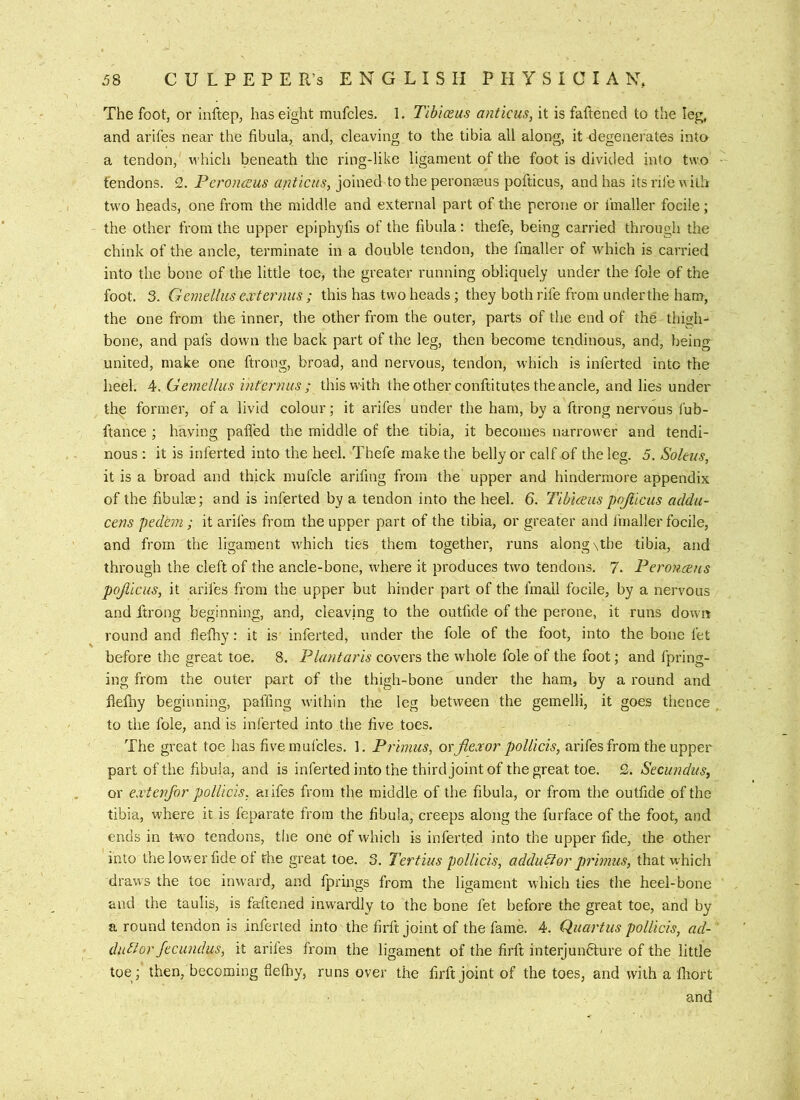 The foot, or Inftep, has eight mufcles. 1. Tibiceus anticus, it is faftened to the leg, and arifes near the fibula, and, cleaving to the tibia all along, it degenerates inta a tendon, which beneath the ring-like ligament of the foot is divided into two tendons. 2. PeroncEus anticus, joined to the peronseus pofticus, and has its rife with two heads, one from the middle and external part of the perone or fmaller focile; the other from the upper epiphyfis of the fibula; thefe, being carried through the chink of the ancle, terminate in a double tendon, the fmaller of which is carried into the bone of the little toe, the greater running obliquely under the foie of the foot. 3. Gemellus externus ; this has two heads; they both rife from under the ham, the one from the inner, the other from the outer, parts of the end of the thigh- bone, and pals down the back part of the leg, then become tendinous, and, being united, make one ftrong, broad, and nervous, tendon, which is inferted into the heel. 4. Gemellus intern us ; this with the other conftitutes the ancle, and lies under the former, of a livid colour; it arifes under the ham, by a ftrong nervous lub- ftance ; having paffed the middle of the tibia, it becomes narrower and tendi- nous : it is inferted into the heel. Thefe make the belly or calf of the leg. 5. Soleus, it is a broad and thick mufcle arifing from the upper and hindermore appendix of the fibulas; and is inferted by a tendon into the heel. 6. Tibiceus pojiicus acldu- cens pedem ; it arifes from the upper part of the tibia, or greater and I'maller focile, and from the ligament which ties them together, runs along\the tibia, and through the cleft of the ancle-bone, where it produces two tendons. 7* Peronceus pojiicus, it arifes from the upper but hinder part of the fmail focile, by a nervous and ftrong beginning, and, cleaving to the outfide of the perone, it runs down round and flefhy: it is inferted, under the foie of the foot, into the bone let before the great toe. 8. Pluntaris covers the whole foie of the foot; and fpring- ing from the outer part of the thigh-bone under the ham, by a round and flefiiy beginning, paffing within the leg between the gemelli, it goes thence to the foie, and is inferted into the five toes. The great toe has five mufcles. ]. Primus, oxjiexor pollicis, arifes from the upper part of the fibula, and is inferted into the third joint of the great toe. 2. Secundus, or extenjor pollicis, arifes from the middle of the fibula, or from the outfide of the tibia, where it is feparate from the fibula, creeps along the furface of the foot, and ends in two tendons, the one of which is inferted into the upper fide, the other into the lower fide ot the gi’eat toe. 3. Tertius pollicis, addu^or primus, that which draws the toe inw’ard, and fprings from the ligament which ties the heel-bone and the taulis, is fa-ftened inwardly to the bone fet before the great toe, and by a round tendon is inferted into the firft joint of the fame. 4. Quartus pollicis, ad- du£hr fecundus, it ariles from the ligament of the firft interjundlure of the little toe; then, becoming fielhy, runs over the firft joint of the toes, and with a fhort and
