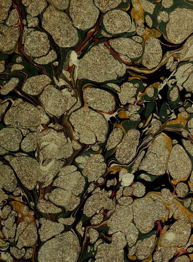 No text description is available for this image