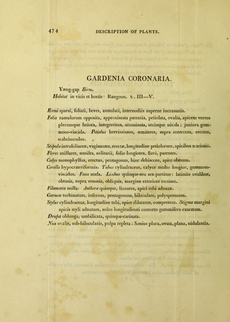 GARDENIA CORONARIA. Yaeng-gap Birrtu Habitat in vicis et hortis : Rangoon. T?. Ill—V. Rami sparsi, foliati, laeves, annulati, internodiis superne incrassatis. Folia ramulorum opposita, approximata patentia, petiolata, ovalia, apicem versus plerumque latiora, integerrima, acuminata, utrinque nitida ; juniora gum- moso-viscida. Peliolus brevissimus, semiteres, supra convexus, erectus, scabriuseulus. . S^zt/^intrafoliaceae, vaginantes, erectse, longitudine petiolorum, apicibus scariosis. Flores axillares, sessiles, solitarii, folio longiores, flavi, patentes. Calyx monopliyllus, erectus, pentagonus, hinc dehiscens, apice obtusus. Corolla hypocrateriformis. Fubus cylindraceus, calyce multo longior, gummoso- viscidus. Faux nuda. Limbus quinque-seu sex-partitus: laciniis ovalibus, obtusis, supra venosis, obliquis, margine exteriore rectiore. Filamenta nulla. Anlherce quinque, lineares, apici tubi adnatse. Germen turbinatum, inferum, pentagonum, biloculare, polyspermum. Stylus cylindraceus, longitudine tubi, apice dilatatus, compressus. Stigma margini apicis styli adnatum, sulco longitudinati contorto gummifero exaratum. Drupa oblonga, umbilicata, quinque-carinata. Nax ovalis, sub-bilocularis, pulpa repleta: Semina plura, ovata, plana, nidulantia.