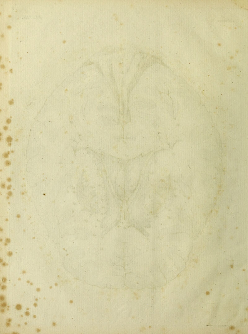 - ■# ; • *#, r. 0 • ■ m ' ■ s ■ % *