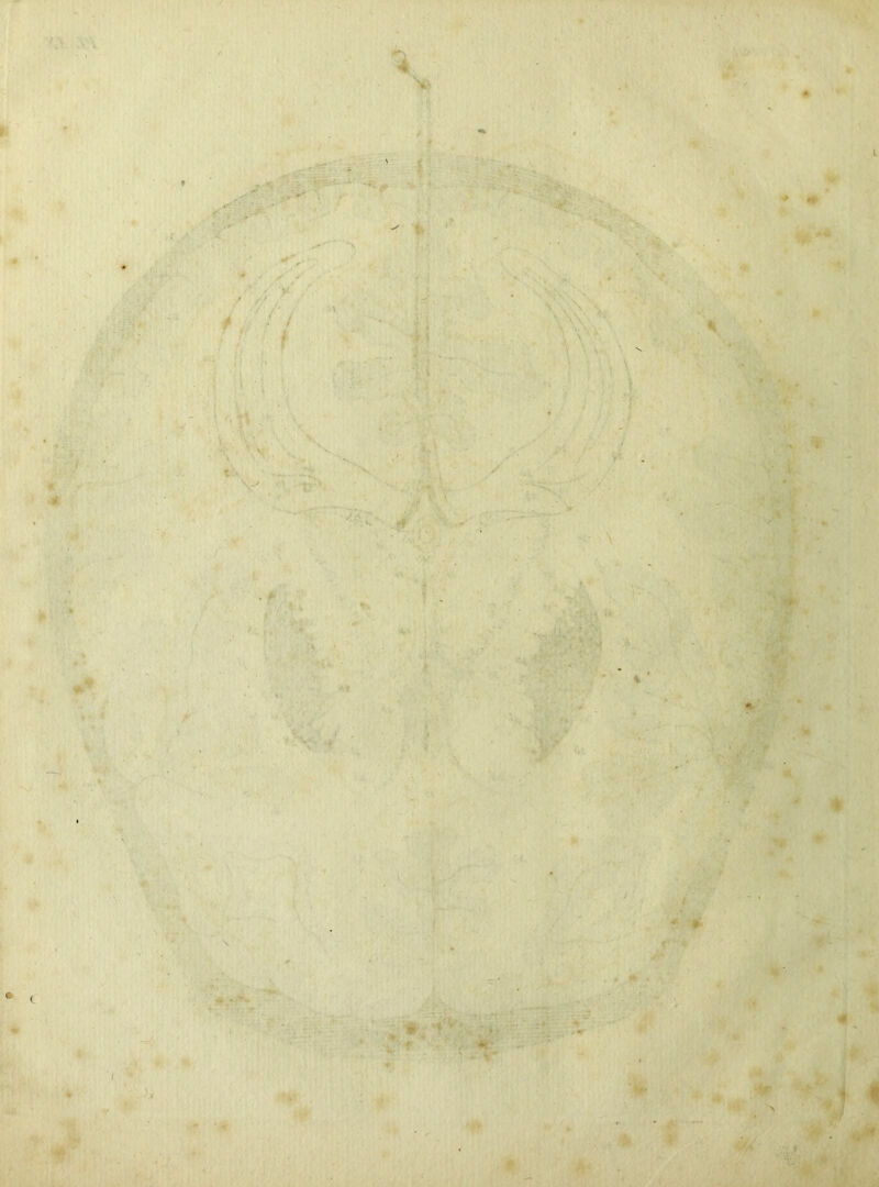 r / ) i ir i'iî * ! ' ' ' • <J3 -y > .î - ■ )r ■ V ■ ■ ' * f v > . * ' * % ** t'‘-\ ' t ' . .