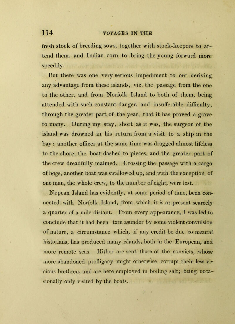 fresh stock of breeding sows, together with stock-keepers to at- tend them, and Indian corn to bring the young forward more speedily. But there was one very serious impediment to our deriving any advantage from these islands, viz. the passage from the one to the other, and from Norfolk Island to both of them, being attended with such constant danger, and insufferable difficulty, through the greater part of the year, that it has proved a grave to many. During my stay, short as it was, the surgeon of the island, was drowned in his return from a visit to a ship in the bay; another officer at the same time was dragged almost lifeless to the shore, the boat dashed to pieces, and the greater part of the crew dreadfully maimed. Crossing the passage with a cargo of hogs, another boat was swallowed up, and with the exception of one man, the whole crew, to the number of eight, were lost. Nepean Island has evidently, at some period of time, been con- nected with Norfolk Island, from which it is at present scarcely a quarter of a mile distant. From every appearance, I was led to conclude that it had been torn asunder by some violent convulsion of nature, a circumstance which, if any credit be due to natural historians, has produced many islands, both in the European, and more remote seas. Hither are sent those of the convicts, whose more abandoned profligacy might otherwise corrupt their less vir cious brethren, and are here employed in boiling salt; being occa- sionally only visited by the boats.