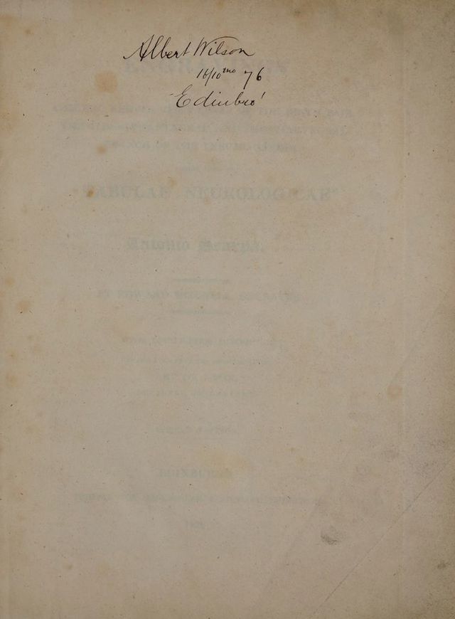 digitised image 3