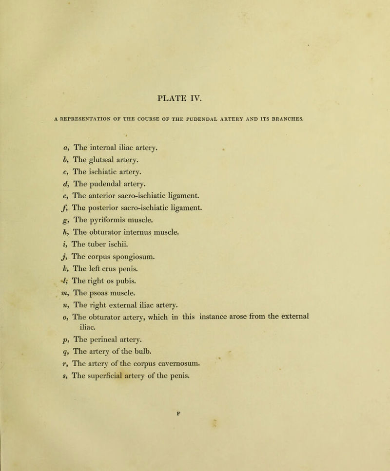 A REPRESENTATION OF THE COURSE OF THE PUDENDAL ARTERY AND ITS BRANCHES. a, The internal iliac artery. b, The glutaeal artery. c, The ischiatic artery. d, The pudendal artery. e, The anterior sacro-ischiatic ligament. f, The posterior sacro-ischiatic ligament. g, The pyriformis muscle. h, The obturator internus muscle. i, The tuber ischii. j, The corpus spongiosum. k, The left crus penis. 7, The right os pubis. m, The psoas muscle. n, The right external iliac artery. o, The obturator artery, which in this instance arose from the external iliac. p, The perineal artery. q, The artery of the bulb. r, The artery of the corpus cavernosum. s, The superficial artery of the penis. F