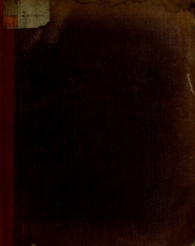 digitised image 1