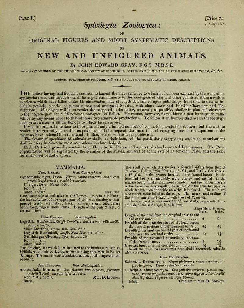 Part L] [Price 7<y- /• im. Sjncilegia Zoologica; OR ORIGINAL FIGURES AND SHORT SYSTEMATIC DESCRIPTIONS OF NEW AND UNFIGURED ANIMALS, Bv JOHN EDWARD GRAY, F.G.S. M.R.S.L. HONORARY MEMBER OF THE PHILOSOPHICAL SOCIETY OF COLCHESTER, CORRESPONDING MEMBER OF THE MACLL’REAN LYCEUM, &C. &C. LONDON: PUBLISHED BY TREUTTEL, WURTZ AND CO., SOHO SQUARE; AND W. WOOD, STRAND. The author having had frequent occasion to lament the inconvenience to which he has been exposed by the want of an appropriate medium through which he might communicate to the Zoologists of this and other countries those novelties in science which have fallen under his observation, has at length determined upon publishing, from time to time at in- definite periods, a series of plates of new and unfigured Species, with short Latin and English Characters and De- scriptions. His object will be to render the proposed undertaking, as nearly as possible, similar in plan and character to the “ Spicilegia and “ Miscellanea Zoologica” of Pallas. He cannot, however, flatter himself that its scientific value will be by any means equal to that of those two admirable productions. To follow at an humble distance in the footsteps of so great a man, is all the honour to which he can aspire. It was his original intention to have printed only a limited number of copies for private distribution; but the wish to render it as generally accessible as possible, and the hope at the same time of repaying himself some portion of the expense, have induced him to extend his plan, and to submit it for public sale. The favour of specimens of animals or shells, or their loan, will be particularly acceptable; and such contributions shall in every instance be most scrupulously acknowledged. Each Part will generally contain from Three to Six Plates, and a sheet of closely-printed Letter-press. The Price of publication will be regulated by the Number of the Plates, and will be at the rate of Is. for each Plate, and the same for each sheet of Letter-press. MAMMALIA. Fam. SiMiAD^. Gen. Cynocephalus. Cynocephalus niger, Desm.—Niger; capite elongato, cristd com- pressd longd ornato; caiidd brevissimd, C. niger, Desm. Mamm. 534. Icon. t. 1,/. 2. Inhab. India? Mus. Brit. I have seen this animal alive in the Tower. Its colour is black ; the hair soft, that of the upper part of the head forming a com- pressed crest; face naked, black; tail *very short, tubercular j hands long, fingers short, black. Length of the body 2 feet, of the tail 1 inch. Fam. Cebid.®. Gen. Lagothrix. Lagothrix Humboldtii, Geoffr. P—Nigro-cinerascens; pilis mollis- simis, crispatis. Simia Lagothrix, Hiimb. Obs. Zool. 32. ? Lagothrix Humboldtii, Geoffr. Ann. Mus. xix. 107.? Gastrimargus olivaceus, Spix, Braz. t. 28 ? Icon. t. 1./. 1. Inhab. Brazil ? The drawing, for which I am indebted to the kindness of Mr. E. Griffith, was made by Landseer from a living specimen in Exeter 'Change. The animal was remarkably active, good-tempered, and obedient. Fam. Phocid®. Gen. Arctocephalus. Arctocephalus lobatus, n.—Osse frontali lato convexo; foramine occipitali ovali; maxilla inferiore rectd. Icon. ?. 4,/. 2. 2 a. Mus. D. Brookes. Inhab. The skull on which this species is founded differs from that of P. ursina (F. Cuv. Mdm. Mus. x. 1.15. f. 1; and G. Cuv. Oss. Foss. v. t. 18. f. 5.) in the greater breadth of the frontal bones; in the forehead being considerably more convex and arched; in the muzzle being thicker and more rounded, and the hinder margin of the lower jaw less angular, so as to allow the head to apply its whole length upon the table on which it is placed. The teeth are also rather more lobed on the edge. The sutures and outline of the bones correspond exactly with those of P. ursina. The comparative measurement of two skulls, apparently from animals of the same age, is as follows. Fhoca lobata. P. ursina. inches. inches. Length of the head from the occipital crest to the end of the nose 9 9 Breadth of the posterior part of the head across the petrous portions of the temporal bones .. 4^ 41- Breadth of the most contracted part of the frontal bone near the cerebral cavity ll I5 Breadth of the expanded superciliary processes of the frontal bone 3 2^ Greatest breadth of the condyles 1^ 2^ In all the other measurements both skulls accurately coincide with each other. Fam. Delphinid®. Subgen. 1. Delphinus, n.—Caput globosum; rostro depresso, ca- pite longiore. Dentes cylindrici, curvati. 1. Delphinus longirostris, n.—Osse palatino carinato, postice con- vexo ; rostro longissimo attenuato, supra depresso, lined medid elevatd; dentibus parvis utrinque fg^. Inhab. Cranium in Mus. D. Brookes. A