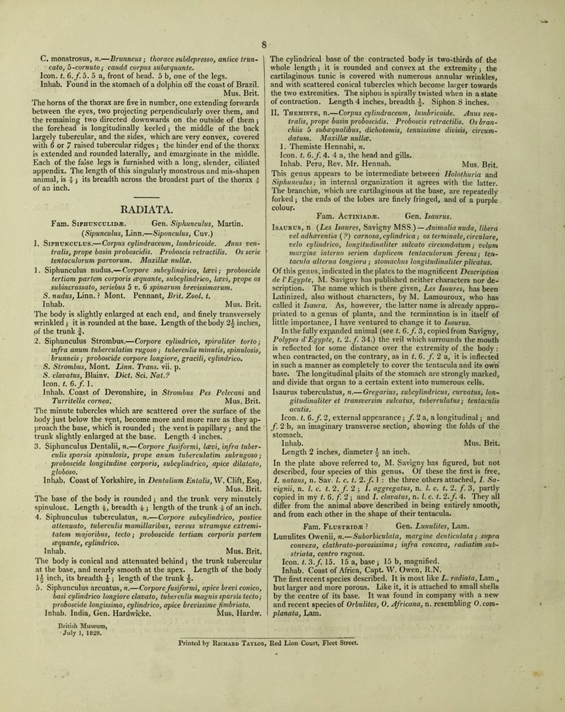 C. monstrosus, n.—Brunneus; thorace subdepresso, anlice trun- cato, 5-cornuto; caudd corpus subcequante. Icon. t. 6.f. 5. 5 a, front of head. 5 b, one of the legs. Inhab. Found in the stomach of a dolphin off the coast of Brazil. Mus. Brit. The horns of the thorax are five in number, one extending forwards between the eyes, two projecting perpendicularly over them, and the remaining two directed downwards on the outside of them j the forehead is longitudinally keeled; the middle of the back largely tubercular, and the sides, which are very convex, covered with 6 or 7 raised tubercular ridges; the hinder end of the thorax is extended and rounded laterally, and emarginate in the middle. Each of the false legs is furnished with a long, slender, ciliated appendix. The length of this singularly monstrous and mis-shapen animal, is -I- j its breadth across the broadest part of the thorax of an inch. RADIATA. Fam. SiPiiUNCULiD^. Gen. Siphunculus, Martin. {Sipunculus, Linn.—Siponculus, Cuv.) I. SiPHUKCULUS.—Corpus cylindraceum, lumbricoide. Anus ven- tralis, prope basin proboscidis. Proboscis retractilis. Os serie tentaculorum parvorum. Maxillce nuUce. 1. Siphunculus nudus.— Corpora subcylindrico, Icevi; proboscide tertiam partem corporis cequante, subcylindrico, Icevi, pxope os subincrassato, seriebus 5 v. 6 spinarum brevissimarum. S, nudus, Linn. ? Mont. Pennant, Brit. Zool, t. Inhab. Mus. Brit. The body is slightly enlarged at each end, and finely transversely wrinkled j it is rounded at the base. Length of the body 2^ inches, of the trunk 2. Siphunculus Strombus.—Corpora cylindrico, spiraliter torio ^ infra anuni tuberculatim rugoso; tuberculis minutis, spinulosis, brunneis; proboscide corpora longiore, gracili, cylindrico. S. Strombus, Mont. Linn. Trans, vii. p. S. clavatus, Blainv. Diet. Sci. Nat.? Icon. t. 6.f. 1. Inhab. Coast of Devonshire, in Stro7iibus Pas Pelecani and Turritella cornea. Mus. Brit. The minute tubercles which are scattered over the surface of the body just below the vent, become more and more rare as they ap- proach the base, which is rounded j the vent is papillary j and the trunk slightly enlarged at the base. Length 4 inches. 3. Siphunculus Dentalii, n.—Corpora fusiformi, Icevi, infra tuber- culis sparsis spinulosis, prope anum tuberculatim subrugoso; proboscide longitudine corporis, subcylindrico, apice dilatato, globoso. Inhab. Coast of Yorkshire, in Dentalium Entails, W. Clift, Esq. Mus. Brit. The base of the body is rounded; and the trunk very minutely spinulose. Length f, breadth 4- 5 length of the trunk -f- of an inch. 4. Siphunculus tuberculatus, n.—Corpora subcylindrico, postice attetiuato, tuberculis mamillaribus, versus utramque extremi- tatem majoribus, tecto; proboscide tertiam corporis partem cequante, cylindrico. Inhab. Mus. Brit. The body is conical and attenuated behind 5 the trunk tubercular at the base, and nearly smooth at the apex. Length of the body inch, its breadth ^; length of the trunk 5. Siphunculus arcuatus, n.—Corpora fusiformi, apice brevi conico, basi cylindrico longiore clavato, tuberculis magnis sparsis tecto; proboscide longissimo, cylindrico, apice brevissimefimbrialo. Inhab. India, Gen. Hardwicke. Mus. Hardw. British Museum, July 1, 1828. The cylindrical base of the contracted body is two-thirds of the whole length j it is rounded and convex at the extremity; the cartilaginous tunic is covered with numerous annular wrinkles, and with scattered conical tubercles which become larger towards the two extremities. The siphon is spirally twisted when in a state of contraction. Length 4 inches, breadth \. Siphon S inches. II. Themiste, n.—Corpus cylindraceum, lumbricoide. Anus ven- tralis, prope basin proboscidis. Proboscis retractilis. Os bran- chiis 5 subccqualibus, dichotomis, tenuissime divisis, circum- datum. Maxillce nullce. 1. Themiste Hennahi, n. Icon. t. 6.f. 4. 4 a, the head and gills. Inhab. Peru, Rev. Mr. Hennah. Mus. Brit. This genus appears to be intermediate between Holothuria and Siphunculus; in internal organization it agrees with the latter. The branchiae, which are cartilaginous at the base, are repeatedly forked; the ends of the lobes are finely fringed, and of a purple colour. Fam. Actiniad.®. Gen. Isaurus. IsAURUS, n. {Les Isaures, Savigny MSS.)—Animalianuda, libera vel adheerentia (?) carnosa, cylindrica; os terminale, circulare, velo cylindrico, longitudinaliter sulcato circumdatum; velum margine interno seriem duplicem tentaculorum ferens; ten- tacula alterna longiora; stomachus longitudinaliter plicatus. Of this genus, indicated in the plates to the magnificent Description de VEgypte, M. Savigny has published neither characters nor de- scription. The name which is there given, Les Isaures, has been Latinized, also without characters, by M. Lamouroux, who has called it Isaura. As, however, the latter name is already appro- priated to a genus of plants, and the termination is in itself of little importance, I have ventured to change it to Isaurus. In the fully expiinded animal (see t. 6.f 3, copied from Savigny, Polypes d'Egypte, t. 2.f. 34.) the veil which surrounds the mouth is reflected for some distance over the extremity of the body : when contracted, on the contrary, as in t. 6. f. 2 a, it is inflected in such a manner as completely to cover the tentacula and its own base. The longitudinal plaits of the stomach are strongly marked, and divide that organ to a certain extent into numerous cells. Isaurus tuberculatus, n.— Gregarius, subajlindricus, curvatus, lon- giludinaliter et transversim sulcatus, hiberculalus; tentaculis acutis. Icon. t. 6.f. 2, external appearance; 2 a, a longitudinal j and f. 2 b, an imaginary transverse section, showing the folds of the stomach. Inhab. Mus. Brit. Length 2 inches, diameter | an ineh. In the plate above referred to, M. Savigny has figured, but not de.scribed, four species of this genus. Of these the first is free, /. natans, n. Sav. 1. c. t. 2./. 1 : the three others attached, I. Sa- vignii, n. 1. c. t. 2. /. 2 5 I. aggregatus, n. 1. c. t. 2. /. 3, partly copied in my t. 6. /. 2; and I. clavatus, n. 1. c. t, 2.f. 4. They all differ from the animal above described in being entirely smooth, and from each other in the shape of their tentacula. Fam. Flustridje ? Gen. Lunulites, Lam. Lunulites Owenii, M.—Suborbiculata, margine denticulata; supra convexa, clathrato-porosissima; infra concava, radiatim sub- striata, centra rugosa. Icon. t. 3./. 15. 15 a, ba.se j 15 b, magnified. Inhab. Coast of Africa, Capt. W. Owen, R.N. The first recent species described. It is most like L. radiata, Lam., but larger and more porous. Like it, it is attached to small shells by the centre of its base. It was found in company with a new and recent species of Orbulites, 0. Africana, n. resembling O.com- planata, Lam. Printed by Richard Tatlor, Red Lion Court, Fleet Street.