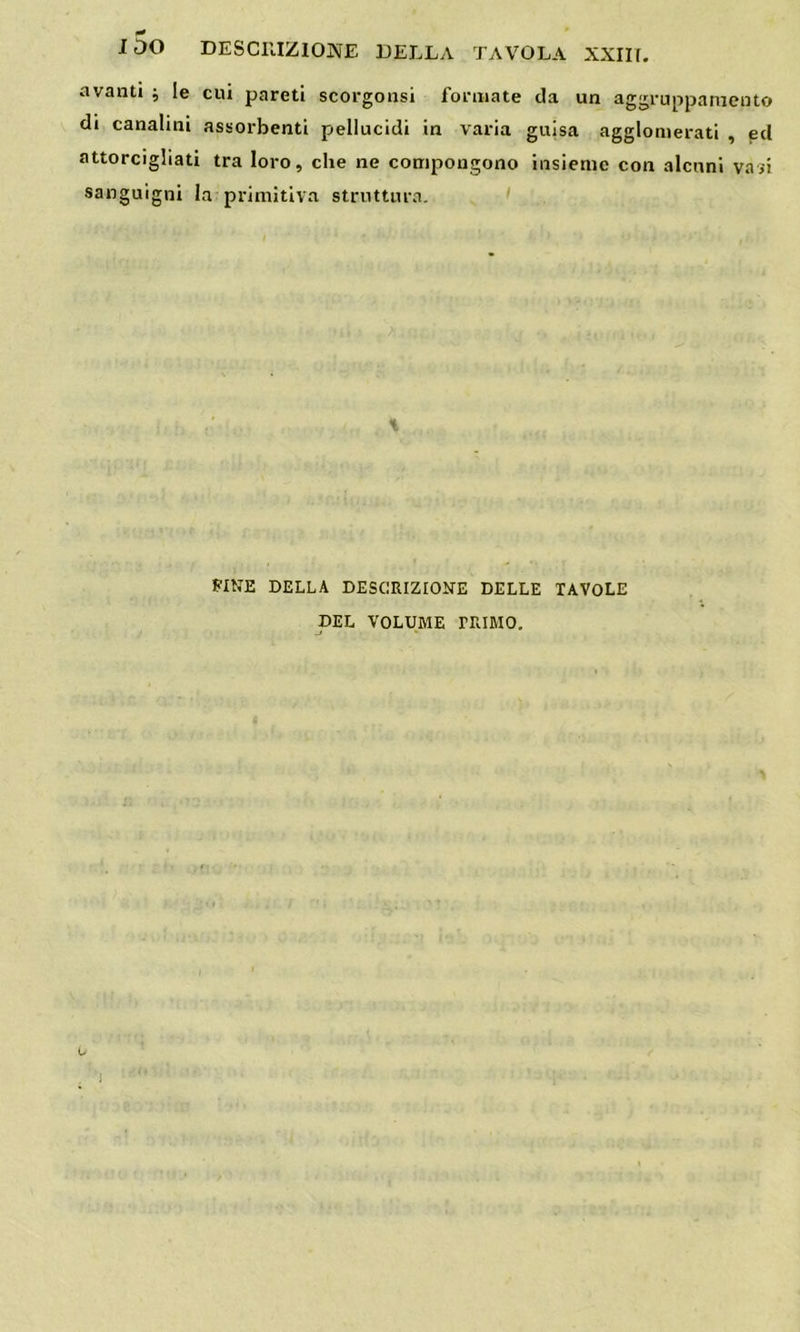l5o DESCRIZIONE DELLA TAVOLA XXIII. avanti ; le cui pareti scorgonsi formate da un aggruppamento di canalini assorbenti pellucidi in varia guisa agglomerati , ed attorcigliati tra loro, che ne compongono insieme con alcuni vasi sanguigni la primitiva struttura. \ FINE DELLA DESCRIZIONE DELLE TAVOLE DEL VOLUME PRIMO.