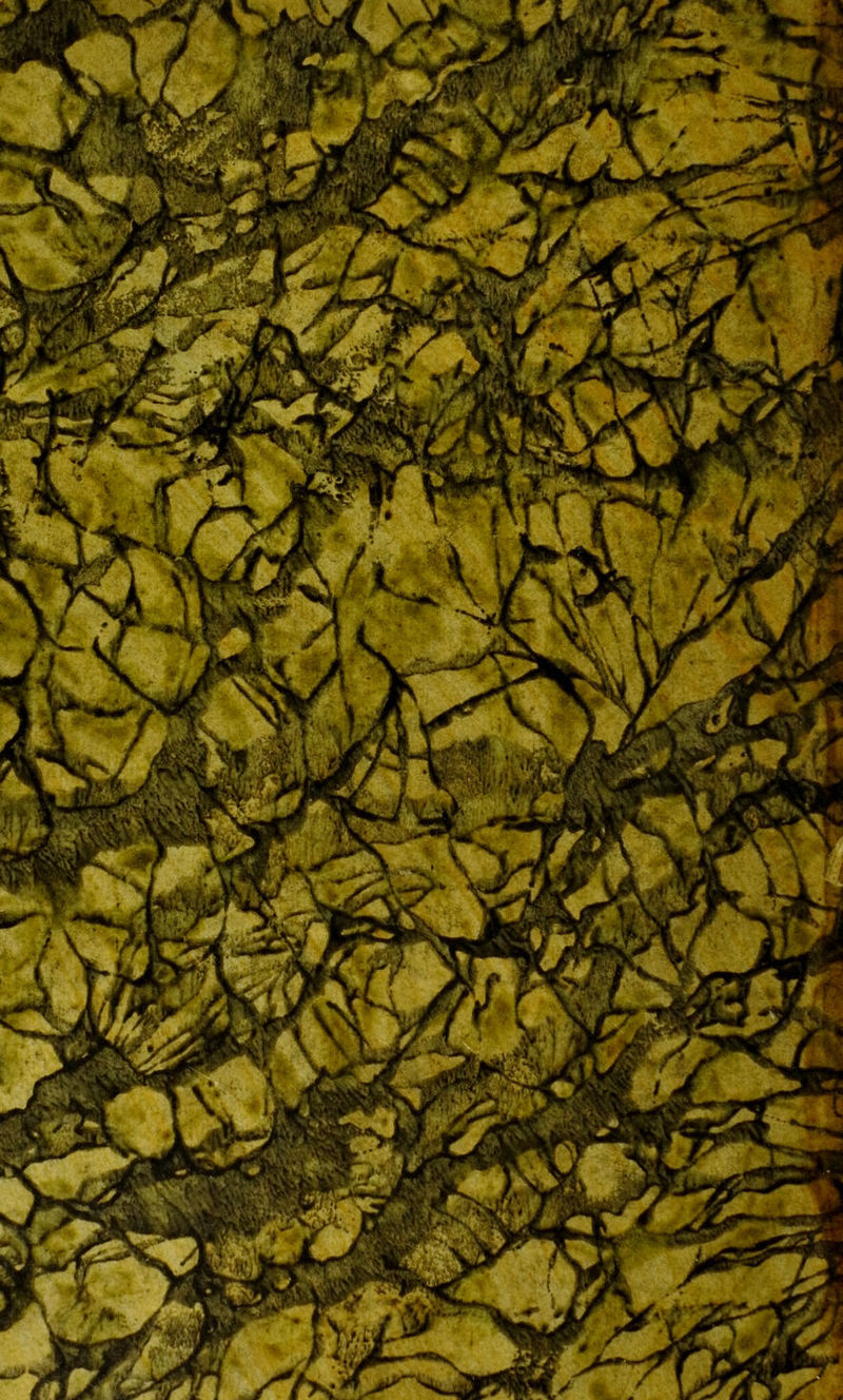 F 'A ' «Vs»'/ j or *'sL^i t wB > 3b ht&mr JM2L ' ’ « ^rar _^^p* v i»1 0r^^^T(k' • 1 WmM %*L' : wC