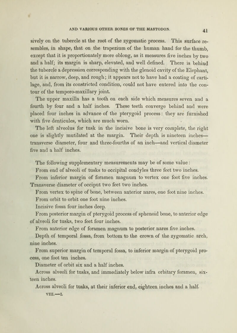 sively on the tubercle at the root of the zygomatic process. This surface re- sembles, in shape, that on the trapezium of the human hand for the thumb, except that it is proportionately more oblong, as it measures five inches by two and a half; its margin is sharp, elevated, and well defined. There is behind the tubercle a depression corresponding with the glenoid cavity of the Elephant, but it is narrow, deep, and rough; it appears not to have had a coating of carti- lage, and, from its constricted condition, could not have entered into the con- tour of the temporo-maxillary joint. The upper maxilla has a tooth on each side which measures seven and a fourth by four and a half inches. These teeth converge behind and were placed four inches in advance of the pterygoid process: they are furnished with five denticules, which are much worn. The left alveolus for tusk in the incisive bone is very complete, the right one is slightly mutilated at the margin. Their depth is nineteen inches— transverse diameter, four and three-fourths of an inch—and vertical diameter five and a half inches. The following supplementary measurements may be of some value : From end of alveoli of tusks to occipital condyles three feet two inches. From inferior margin of foramen magnum to vertex one foot five inches. Transverse diameter of occiput two feet two inches. From vertex to spine of bone, between anterior nares, one foot nine inches. From orbit to orbit one foot nine inches. Incisive fossa four inches deep. From posterior margin of pterygoid process of sphenoid bone, to anterior edge of alveoli for tusks, two feet four inches. From anterior edge of foramen magnum to posterior nares five inches. Depth of temporal fossa, from bottom to the crown of the zygomatic arch, nine inches. From superior margin of temporal fossa, to inferior margin of pterygoid pro- cess, one foot ten inches. Diameter of orbit six and a half inches. Across alveoli for tusks, and immediately below infra orbitary foramen, six- teen inches. Across alveoli for tusks, at their inferior end, eighteen inches and a half. VIII.—L