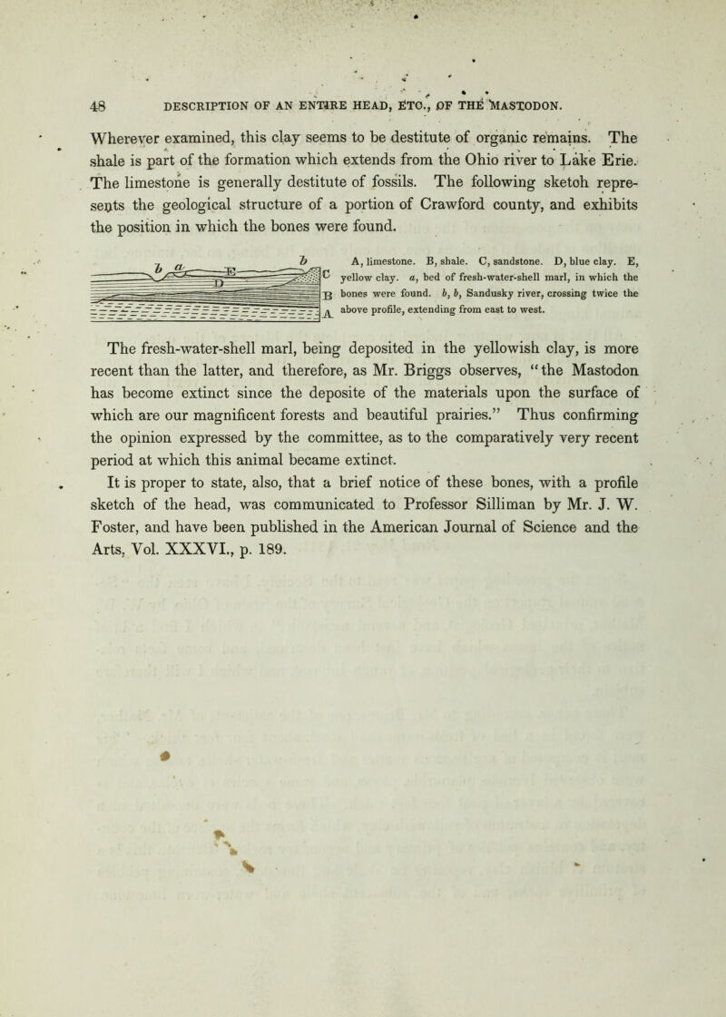 J* 48 DESCRIPTION OF AN ENTIRE HEAD, RTO., OF THE 'MASTODON. Wherever examined, this clay seems to be destitute of organic remains. The shale is part of the formation which extends from the Ohio river to Lake Erie. The limestone is generally destitute of fossils. The following sketoh repre- sents the geological structure of a portion of Crawford county, and exhibits the position in which the bones were found. A, limestone. B, shale. C, sandstone. D, blue clay. E, yellow clay, a, bed of fresh-water-shell marl, in which the bones were found, b, b, Sandusky river, crossing twice the above profile, extending from east to west. The fresh-water-shell marl, being deposited in the yellowish clay, is more recent than the latter, and therefore, as Mr. Briggs observes, “the Mastodon has become extinct since the deposite of the materials upon the surface of which are our magnificent forests and beautiful prairies.” Thus confirming the opinion expressed by the committee, as to the comparatively very recent period at which this animal became extinct. It is proper to state, also, that a brief notice of these bones, with a profile sketch of the head, was communicated to Professor Silliman by Mr. J. W. Foster, and have been published in the American Journal of Science and the Arts, Yol. XXXVI., p. 189.