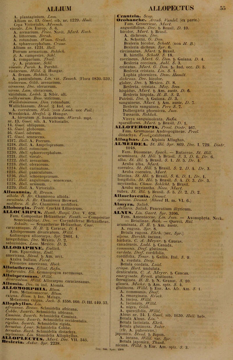 A. iiluiilaginiiiin. Lam. Allium iir. III. Omel. sib. nr. 12211. Hmll, Cejia Victorialis. Rloench. vineale. Lin. Euroi). S. (i. ^ A. arenarium. Fries. Novit. ]\Iart. Hoch. A. littoreum. Benih. A. rotundum. IVimm. Grab. A. spliaerocepbalum. Crome. Allium nr. 1221. Hali. l*orrum arenarium. Rchbch. /3. A. campestre. Scbl. A. compactum. Thuil. y. A. pratense. Schl. vineale. Pursh. A. Purshii. violaceum. 1'Villd. 2j. llungar. , A. nexum. Rchbch. ic. A. paniculalum. Lin. var. Tausch. (Elora 1830. violaceum. Gilib. arenarium. virescens. Dec. oleraceum. virens. Lam. oleraceum, viridulum. Ledeb. 2f. Sibir. ait. vollhynicum. Bess. strictum. fValdsteinianum. Don. rotundum. Wallicbianum. Steud. 2j_ Ind. or. A. coeruleum. RFall. (non Lamb. nec Fall.) Wierzbickii. Heufel. 2j. Hungar. A. hirsutum bannaticum. FVierzb. mpt. nr. 13. Gmel. sib. A. Victorialis. . 14. Gmel. obliquum, lo. Gmel. globosum. 16. Gmel. odorum. 17. Gmel. senescens. 1217. Hali. A. Porrum. 1218. Hali. A. Ampeloprasuin. 1219. Hali, rotundum. 1220. Hali, sphaerocephaluin. 1221. Hali, vireale. 1222. Hali, arenarium. 1223. Hali, oleraceum. 1224. Hali, carinatum. 122a. Hali, paniculalum. 1226. Hali, schoenoprasuin. 1227. Hali, angulosum, senescens, 1228. Hali, ursinum. 1229. Hali. A. Virtorialis. Alluianiiia. R. Brown. albida. R. Br. Chamissoa albida. esculenta. R. Br. Chamissoa Brownei. nodijlora. R. Br. Chamissoa nodillora. Alloborg-ia. Tralt. Czackia Liliastrum. AXiEiOCAItPUS. Hiimb.' Bonpl. Dec. V. 676. Fam. Compositae Heliantheae. Fninlh. — Compositae Seneclonideae. Dec. — Corymbiferae Heliantheae. tichuUz. — Synantherae Heliantbae. Cass. caracassanus. H. B. 2J. Caracas. D. 1. Alloispermum divaricatum. Willd. Galinsogea alloecarpa. Spr. 2801. 4. Integri folius. Dec. Mexico. D. 2. sabazioides. Less. Mexico. D. 3. Al.I.OUAI>HAlil. Endlich. lam. Epacrideae. Endl. americana. Steud. t; Am. aret. Azalca bullata. Forst. Prionotes americana. Hock. AlloiatlicruM. Elliot. Rafm. lepturoides. EU. Gymnopogon racemosus. mild. ^varicatum, mild. Allocarpus caracassanus. .Alloinia. Dec. in ind. Alornia. Aiii.ononi>iii,t. Bium. eam. Melastomaceac. Blum. <^^'k'iia. Blum. T, Ins. Malaga. «“•‘«»•.0.111.149.53. «Jpfnus- Beauv Schmi.lclia africana. (^bbe. Swartz. Sclmudclia africana Caminia. Swartz. Schmidciia Caminia racemosus. Swartz. Schmidelia occidentalis rigidus. Swartz. Schmidelia rigida. lernatus. Lour. Schmidelia Cobbe. ternatus. Roxb. Schmidelia distachya. zewawcuf. /,/n. Slunidclia Allophyllus. Mart. Dec. VII. 645. Autor. Spr. 2238. Oc». 14«. Sj) Craiitzia» Scop, Orfvbanclie. Ari-ab. F^andel. (ex parte.) Fam. Gcsncrieae. Mart. angustifolius. Dec. tj llrasil. D. 10. bicolor. Mart. Brasil. A. diebrous. Dec. A. Schottii. G. Don. Bcsleria bicolor. Schott. (non H. B.) Bcsleria dichrus. Spr. 6. circinnatus. Mart. Brasil. B. liirtella. Schott. S. 18. coccineus. Mart. G. Don. tj Guiana. D. 4. Bcsleria coccinea. Aubl. S. 3. cristatus. Mart. G. Don. tj. Ind. occ. D. 6. Besleria cristata. Lin. S. 1. Lophia phoenicea. Desv. Hamilt. dichrous. Dec. bicolor. glaber. Dec. p Mexico. D. 8. Besleria. cristata. Mop. Sess. hispidus. Mart. 1, Am. austr. D. 6. Bcsleria hispida. H. B. S. 2. Patrisii. Dec. 1> Guiana. D. 3. sanguineus. Mart. f? Am. austr. D. 7. Besleria sanguinea. Fers S. 7. Dalbergaria phoenicea. Juss. Tussacia. Rchbch. iVireya sanguinolenta. Rajin. sparsillorus. Mart. t; Brasil. D. 1. ALiliftTKllOPIS. Presl. Dictr. 467. Fam. Gramineae Andropogineae. Fresi. distachya. /'/•ej/.*california. Allitgrlms. Lin. Alpinia Allughas. AliMIJKIUlilA. St. Hil. Spr. 809. Dec. I. 729. Dietr 1048. Fam. Diosmeae. Spach. — Rutaceae. St. HUI. acuminata. St. Hili. % Brasil. S. 3. D. 6. Dr. 6 alba. St. Hil. ty Brasil. S. 1. D. 5. Dr. 4. Aruba alba. Mart. coerulea. St. HUI. t, Brasil. S. 2. D. 4. Dr. 3. Aruba coerulea. Mart. lilacina. St. Hil. ty Brasil. S. 6. D. i. Dr. 1. longifolia. St. Hil. ty Brasil. S. 4. D. 3. Dr. 3. myriantba. Chmss. Schlcht. 1) Brasil. Aruba myriantha. iVees. Mart. rubra. St. Hil. ^ Brasil. S. 3. D. 2. D. 2. AUuielovenia. Dennst. spinosa. Deunst. [Rheed H. m. VI. 6.) Almyra. Salisb. stellaris. Salisb. Pancratium illyricum. AIiA^US. Lin. Gaert. Spr. 3106, Fam. Amentaceae. Lin. Juss. — Axonophvta. Neck. — Betulinae. Rich. — Querci. Rill. acuminata. H. B. ty Am. austr. A. rugosa. Spr. 8. Betula rugosa. Ehrh. (sec. Spr.) alpina. Borckh. incana, barbata. C. A. Meyer. -Jy Caucas. canadensis. Lodd. ty Canada. communis. Desf. glutinosa. cordata. Desf. cordifolia. cordifolia. Tenor, ty Gallia. Ital. S. 9. A. cordata. Desp. Betula cordata. Loisl. crispa. Hort. undulata, denticulata. C. A. Meyer. ij Caucas. emarginata. Krock. glutinosa, ferruginea. H. B. ty N. Granat. S. 10. glauca. Michx. ty Am. splr. A’. 4. glutinosa. /Filld. ty Eur. As. Afr. Am. 3-. 1. A. communis. Des/. A. emarginata. Krock. A. incisa. JVilld. A. laciniata. tVilld. A. nigra. Gilib. A, quercifolia. fVilld. Alnus nr. 24. I. Gmel. sib. 1630. Hali, helv Betula Alnus. Lm. ' Betula laciniata. Ehrh. Betula glutinosa. Suter. (cfr. A. pubescens.) japonica. Steud. ty Japon. A. incana. H7Ud. var. Spr Betula japonica. Thnnb. mcana. m\ld. ty Eur. Am. sptr. 3. ec. *