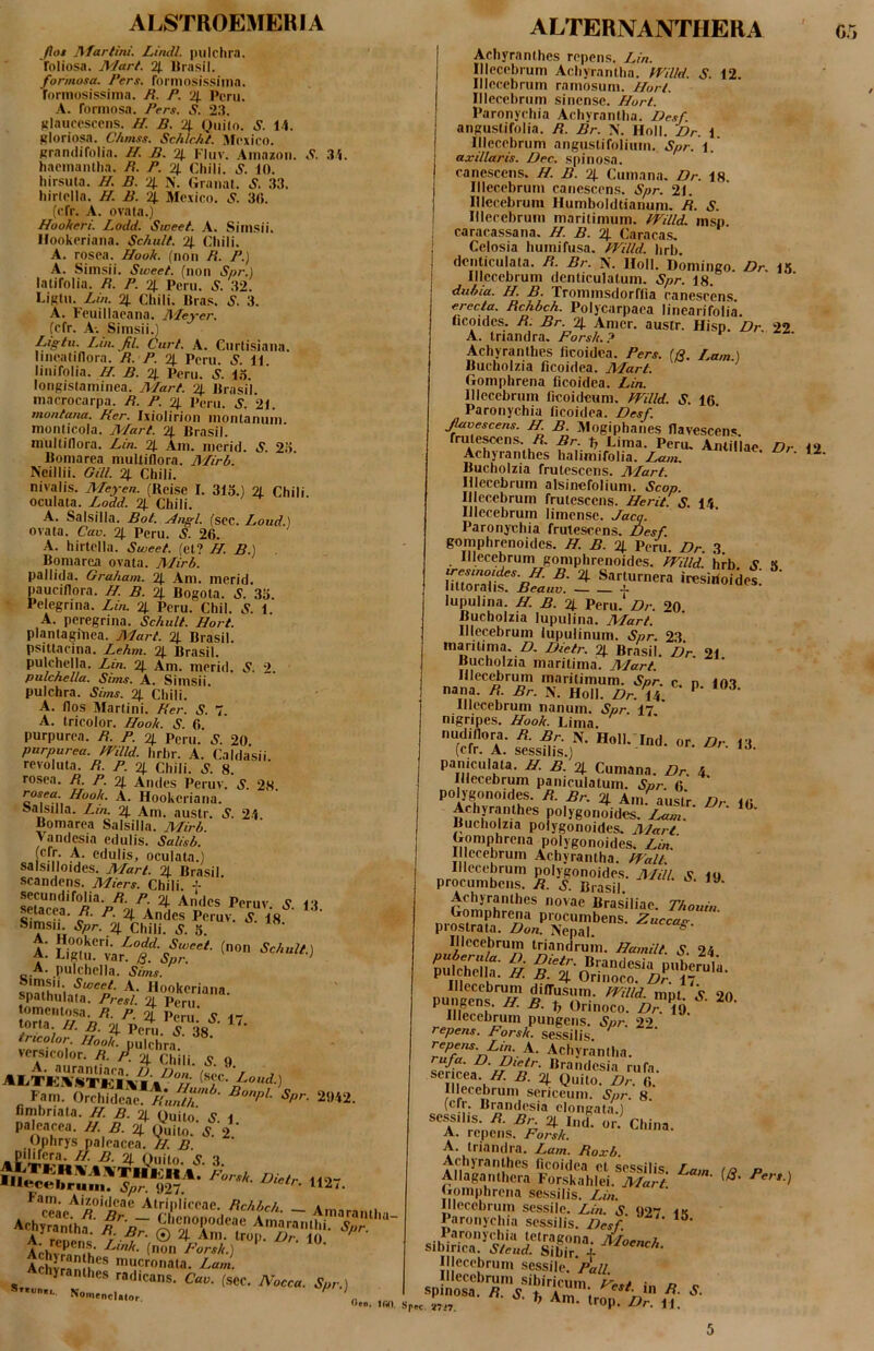 ALSTROEMERIA fiot Afartini. Lindi, pulchra, rnliosa. JWart. 2|. Urasil. formosa. Fers, formo.sissiina. rorinosissima. B. P. 2/. Peru. A. rorinosa. Fers. S. 2.3. Hlaucosccns. H. B. '4 Quitn. S. U. gloriosa. C/imss. SchlcAi. ^fcxico. prandifolia. I/. B. 2/. Fluv. Amazon. .9. ,3i. hacmantha. B. F. 4 Chili. S. 10. hirsuta. B. B. 4 N. tiraiial. S, 33. Iiirlella. B B. 4 Mcxico. cV. 30. (cfr. A. ovata.) Bookeri. Lodd. Sweet. A. Simsii. llookcriana. Schult. 4 Chili. A. rosea. BooA. (non B. P.) A. Simsii. Sweet. (non Spr.) latifolia. B. P. 4 Peru. »?. 32. Liglu. Lin. 4 Chili. Uras. S. 3. A. Fcuillacana. Meyer. (cfr. A-. Simsii.) Ligtu. Lin. fil. Curi. A. Curtisiana. Iineatiflora. B. F. 4 Peru. S. 11 linifolia. B. B. 4 Peru. S. l.=i. longistaminea. AFart. 4 Prasii macrocarpa. B. P. 4 perii. S. 2i. montana. Ker. Ixiolirion montanum, monticola. AFart. 4 Brasil. multillora. Lin. 4 Am. merid. »9. 2o. Bomarea multiflora. AFirb. Neillii. GUI. 4 Chili. nivalis. AFeyen. (Reise I. 31o.) 4 Chili oculata. Lodd. 4 Chili. A. Salsilla. Bot. Angi. (scc. Loud.) ovata. Cav. 4 Peru. S. 26. A. hirtella. Sweet. (et? B. B.) Bomarea ovata. Mirb. pallida. Graham. 4 Am. merid, pauciflora. B. B. 4 Bogota. S. 33. Pelegrina. Lin. 4 Peru. Chii. Jf. 1. A. peregrina. Sc/tu/t. Bort. plantagfnea. AFart. 4 Brasil. psittacina. LeAm. 4 Brasil. pulchella. Lin. 4 Am. merid. S. 2. pulchella. Sims. A. Simsii. pulchra. Sims. 4 Chili. A. flos Martin i. Ber. S. 7. A. tricolor. Book. S. 6 purpurea. B. F. 4 Peru. S. 20 purpurea, mild. hrhr. A. Caldasii. revoluta. B. P. 4 Chili. S. 8. rosea. B. P. 4 Andes Peruv. S. 28. BooA. A. Hookeriana. salsilla. Lin. 4 Am. austr, S. 2-1 Bomarea Salsilla. AFirb. Vandesia edulis. Salisb. A* edulis, oculata.) salsilloides. AFart. 4 Brasil scandens. AFiers. Chili A. pulchella. Sims. A- ««keriana. spathulafa. Presl. 4 Peru tomeiiiosa. B. P. 4 Peni’ v ^- torla. //. 2i Pp^t/o™.;/ /nco/or. P- 4 Chili. 5. 9. ^ Fam. Orchideae 2»i2. fimbriata. J/. B, 2J. Quito. S, \ paleacea. B. B. 4 Quito. S. 2 ()phrys paleacea. B. B. pilifera. B. B. 4 Ouito J 3 am. Aizoideae Atripliceae. BcAbcA a.« nrncnmata. Lanl. Achyranthes radicans. C«o. (sec. Nocca. Spr.) ALTERNANTHERA Achyranthes repens. Lin. Illeccbrum Achyrantha. AFilld. S. 12. Iliccebrum ramosum. Bort. Illeccbrum sincnsc. Bort. Paronychia Achyrantha. Des/. anguslifolia. B. Br. N. Holi. L>r. \ Illeccbrum angustifolium. Spr. 1. axillaris. Dec. spinosa, canescens. B. B. 4 Cumana, Dr. 18. Iliccebrum canesccn.s, Spr, 21. Iliccebrum Humboldtianufn. B. S. Illecebrum maritimum. fTilld. msp. caracassana. B. B. 4 Caracas, Celosia bumifusa. AVilld. hrb. denticulata. B. Br. N. Holi. Doniingo. Dr, 13 Iliccebrum denticulatum. Spr. 18. dubia. B. B. Trommsdorffia canescens. erecta. Bchbch. Poljcarpaca linearifolia. licoidcs. B. Br. 4 Amer, austr. Hisp. Dr 22 A. triandra. ForsA.? Achyranthes ficoidea. Pers. (B. Lam \ Bucholzia ficoidea. AFart. Gomphrena ficoidea. Lin. Illeccbrum ficoidciim. mild. S. 16 Paronychia ficoidea. Desf. J^oescens. B. B. Mogiphanes flavescens, frutescens, /?. Br. t; Lima. Peru, Antillae Dr Achyranthes halimifolia. FAun. ’ ^ Bucholzia frutescens. AFart. Illecebrum alsinefolium. Scop. Iliccebrum frutescens. Berit. S. 14 Iliccebrum limcnsc. Jacq. Paronychia frutescens. Desf. gomphrenoides. B. B. 4 Peni. Dr. 3 Illecebrum gomphrenoides. Mild' hrb S H ‘-“«i- lupulina. B. B. 4 Peru.* Dr. 20 Bucholzia lupulina. AFart. Illecebrum lupulinum. Spr. 23 maritima. Z?. Dietr. 4 Brasil. Dr. 21 Bucholzia maritima. AFart. Illecebrum maritimum. Spr. c. p 103 nana. B. Br. N. Holi. Dr.U. ”• Iliccebrum nanum. Spr. I7 nigripes. BooA. Lima. nudiflora. B. Br. N. Holl.^Ind. or. Dr. 13 (cfr. A. sessilis.) 'u- u. paniculata. B. B. 4 Cumana. Dr, 4 Illecebrum paniculatum. Spr. 6 ’ polygonoides. B. Br, 4 Am msir n. 4i- Achyranthes polygonoides. Zc/«.  Bucholzia polygonoides. A^art Gomphrena polygonoides. Lin. I ccebrum Achyrantha. ffalt. Illecebrum polygonoides. AFUI, s 19 procumbens. B. S. Brasil. «rasiliac. Thouin. P‘ocumbens. Zuccag. piostrata. Don. Nepal. ^ triandrum. Bamilt. S. 24 Illecebrum pungens. Spr. 20 repens. ForsA. sessilis. ^ Achyrantha. ru/a. D. Dietr. Brandesia rufa, sericea. AT. B. 4 Quito. 6. Illecebrum sericeum. Spr. 8. (cir. Brandesia cloncata ) sessilis. B. Br 4 ind. or. China. A. repens. ForsA. A. triandra. Lam. Boxb AltStS W. Gomphrena sessilis. IFn. Illeccbrum sessile. Lin. S. 927 iK Paronychia sessilis. Desf. laronychia tetragona sibirica. Sleud. Sibir + Illecebrum sessile. 'Pall