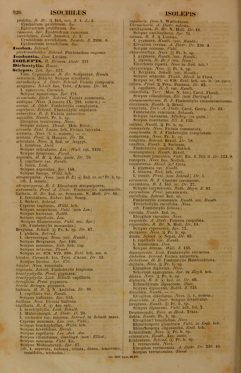 82G ISOCHILUS proliler. B. Br. '4. Iiul. occ. S. i. L. 5. Cymbidium pioliferuni. Sw. Jipiileiidruin proliferuin. Sw. ramosus. Spr. Epidendruin rumosuni. lerctifolius. Lindi. Jamuica. /y. 3. Eyinbidiuin teretifoliuni. Swarlt. S. “2'J‘Jl. 6. Epidendrum teretifoliuni. Sw. Isuflon. Schrad. plectranthuidcs. Schrad. Plectrantluis rugosus. Isodontin. Don. Lyeiuin. iSOIil51*JS. R. Browm. Dietr. 231. Uicliostylis. Beauv. Scirpii.*!. Lin. Spr. 423. ram. Cyperoideac. R. Br. Scirpineae. Runlh. acicularis. Schlchl. Scirpus acicularis. acroslachya. u4. Dietr. Schrad. Fici ii i a composita, acugnana. Schult. Ins. Trisl. d’Acuna. Dr. 40. 1. squarrosa. Carmich. Scirpus squarrosus. Spr. 171. acuminata. Dietr. Schrad. Ficinia acuminata, ambigua Nees. (Linnaea IX. 201. iiomcii.) — anceps. A. Dietr. Fimbrislylis complanata. angularis. Schrad. Fimbristylis angularis. antarctica. R. S. Ficinia antarctica, aipiatilis. Hunth. Pr. b. sp. Eleogiton tenuissima. Nees. Scirpus natans. Thiinb. (Hrb. Bcrol.) arcuata. Eckl. Lucae, hrb. Ficinia lateralis. arenaria. Nees. (1. c. nomen.) aristata. Fresi. 4. Hungar. Dr. 28. articulata. Nees. % Ind. or Acgypt. I. fistulosa. Delii. Scirpus articulatus. Lin. {Wall. cat. 3459.) Scirpus fistulosus. Fcrsk. asperula. H. B. 2). Am. austr, Dr. 79. I. capillaris var. Runth. 1. fusca. Link. Scirpus asperulus. Spr. 148. Scirpus fuscus. Willd. hrb. atropurpurea. Nees. (non R. S.) © Ind. or. et? Pr. b. sp. (cfr. I. tenuis.) atropurpurea. R. S. Eleocharis atropurpurea. autumnalis. Fresi. A. Dietr. Fimbristylis autumnalis, barbata. R. Br. Ind. or. Senegam. N. Holi. Dr. 41. I. fascicularis. Sieber. hrb. Seneg. I. Sieberi. Schrad. Cyperus capitatus. Willd. hrb. Scirpus antarcticus. Vahl. (non Lin.) Scirpus barbatus. Rottb. Scirpus capillaris. Lin. (Scirpus filamentosus. Vahl. sec. Spr.) (cfr. Fimbristylis monandra.) Dergiana. Schult. ® Pr. b. sp. Dr. 47. I. plebeia. SchrcM. I. chrysocarpa. Nees. (sec. Runth.) Scirpus Bergianus. Spr. 140. Scirpus minimus. Sieb. hrb. cap. Scirpus setaceus. Thunb. Scirpus nr. 878. 879. 880. Eckl. hrb. un. it. bicolor. Carmich. Ins. Trist. d’Acun. Dr. 52. Scirpus bicolor. Spr. 170. bicolor. Nees. venustula. bispicala. Schult. Fimbristylis bispicata. brachyphylla. Fresi, pygmaea. brachyphylla. Link. Schult. capillaris. breuifolia. Fresi, pygmaea. breuis. Brongn. pygmaea. bufonia. U. B. 4. N. Andalus. Dr. 81. I. capillaris var. Runth. Sciiq)us bufonius. Spr. 144. bulbosa. Nees. Ficinia bulhosa. capillaris. R. S. © Am sptr. I. brachyphylla. Link. Schult. I. Miihlenbergii. A. Dietr. D. 20. I. trichodes var. minima. Schrad. In Schult. mant. Cyperus minimus. Lin. (sec. Eahl.) Scirpus hrachyphyllus. Willd. hrb. Scirpus brevifolius. Bernh. Scirpus capillaris. Lin. Aut. Am. Scirpus ciliatifolins. Darlingt. (non! Elliot.) Scirpus minimus. Vahl. En. Scirpus Miihlciibcrgii. Spr. OTt. (cfr. I. asperula, bufonia, ciliata, densa, tenerrima, lenuifolia, trichodes.) 1SOLEP18 capillaris. Don. 1. Wallichiana. Carmichaelii. A. Dietr. sulcata, cartilaginea. R. Br. N. Holi. Dr. 13. Scirpus cartilagineus. Spr. 71. cernua. R. S. 4. Lusilan. I. pygmaea. Runth. (sec. Runth.) I Eleogiton cernua. A. Dietr. Dr. 230. ‘i. I Scirpus cernuus. Vahl. chlorostachya. Nees. © Pr. b. sp. I. pygmaea. Runth. (sec. Runlh.) 1. riparia. R. Br.? (sec. Nees.) Eleocharis riparia. Nees in Sieb. hrb.? chrysocarpa. Nees. © Pr. b. sp. i I. Bergiana. Schult. (sec. Runth.) I Scirpus setaceus. Thunb. Sleud. in Flora. ; Scirpus nr. 87. et 878. Eckl. hrb. un. it. (ex parte, ciliata. Fresi. 2J. Peru. Panama. Dr. 82. 1. capillaris. R. S. var. Runth. ciliatifolia. Torr. (Mus. X. bor.) Carol. Florid. Scirpus ciliatifolius. EU. (non Darlingt.) cinnamometorum. R. S. Fimbristylis cinnamometorum circinnata. Runth. 4. Brasil. coarclata. Torr. A. Dietr. Carol. Georg. Dr. 53. Fimbristylis coarctata. Schwntz. Scirpus castaneus. Mhlbrg. (ex parte.) Scirpus coarctatus. EU. S. 129. collina. Runth. 2|. Pr. b. sp. commutata. Nees. Ficinia commutata. complanata. R. S. Fimbristylis complanata, compressa. Nees. Pr. b. sp. congesta. Schrad. Brasil. Dr. 78. conifera. Runth. 2). Surinam. Fimbristylis conifera. Rchbch. consanguinea. Runth. Brasil. Schoenus juncoides. Vahl. En. 5.215.9. Z^/-. 222. 9, conspera. Nees. Ins. Norfolk, controversa. Steud. ©? Creta. I. pygmaea var. Runth. I. setacea. Sieb. hrb. cret. I. tenuis. Fresi, (non Schrad.) Dr. 3. coronaria. R. S. Cyperus coronarius, corymbosa. R. S. Ind. or. Dr. 27. Scirpus corymbosus. Roth. Heyn. S. 83. corymbosa. Fresi, panamensis. curvifolia. Schi-ad. Ind. or. Fimbristylis communis. Runth. sec. Runth. Trichelostylis curvifolia. Nees. (cfr. F'imbristylis foliosa.) curvula. Runth. Ind. or. Eleogiton curvulus. Nees. cuspidata. A. Dietr. Fuirena cuspidata, cyperoides. R. Br. N. Holi. Dr. 14. Scirpus cyperoides. Spr. 72. decipiens. Nees. 4. Pr. b. sp. densa. Schult. © Ncpal. Dr. 83. I. capillaris var. Runth. I. tenuissima. Z?o/i. Scirpus densus. Wall. S. 133. depauperata. Link. Fimbristylis verrucosa. diabolica. Schrad. Ficinia antarctica. dichotoma. H. B. Fimbristylis Humboldtiana. digitata. Nees. ^ Pr. b. sp. Eleogiton digitatus. Nees. Schoenus aggregatus. Spr. in Zeyh. hrb. dioeca. Nees. 2|. Pr. b. sp. dipsacea. R. S. ® Ind. or. Dr. (36. Echinolytrum dipsaceum. Desu. Scirpus dipsaceus. Rottb. S. 135. dissoluta. Runlh. Fllcogiton dissolutus. Nees. (1. c. nomen.) divaricata. A. Dietr. Scirpus divaricatus, llregcana. Runth. © Pr. b. sp. Scir[)us dipsaceus. Vahl. hrb. fol. 2. Druinmondii. Torr. et Hook. Texas, dubia. Runth. Pr. b. sp. Eleogiton? longifolius. Nees. llhynchospora glomerata Vahl. in Endl. hrb. Bhyndiospora oligosanlha. Endl. hrb. Echinitlium. Nees. ® Pr. b. sp. cchinulata. Runth. Am. austr. Eckloniana. Schrad. © Pr. b. sp. I. verrucosula. Nees. Eleogiton verrucosula. A. Dietr. Dt. /<tu. h*. Scirpus vcrrucosulus. Sleud. Om. aisr.spic. 88.4St.