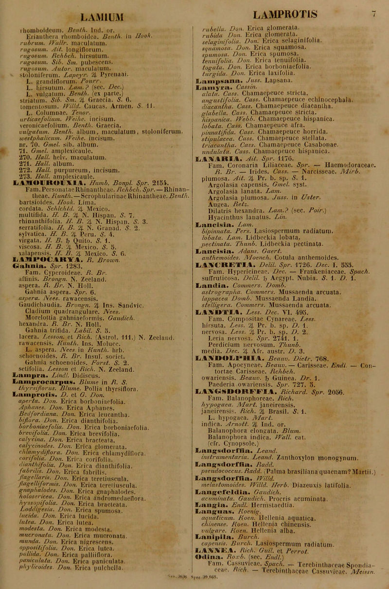 LAMIUM rhomboideum. Benth. Ind. or. Erianthera rhomboidea. Benth. iu llook. rubrum. tVallr. maculatum. rugosum. Ait. longiflorum. rugosum. Bchbch. hirsutum. rugosum. Sib. Sm. pubescens. rugosum. Autor. macululum. stoloniferum. Lapeyr. % Pyrcnaai. L. grandiflorum. Fourr. L. hirsutum. Lam.? (sec. Der.) L. vulgatum. Benth. (ex parte.) striatum. Sib. Sm. 2J. Graecia. S. 0. tomentosum. Willd. Caucas. Armen. S. II. L. Columnae. Tenor, urticae folium. Weihe. incisum, veronicaefolium. Benth. Graecia. vulgatum. Benth. album, maculatum, stoloniferum. westpha/icum. Weihe. incisum, nr. 70. Gmel. sib. album. 71. Gmel. amplexicaule. 270. Hali. helv. maculatum. 271. Hali, album. 272. Hali, purpureum, incisum. 273. Hali, amplexicaule. IwAjTIOUllOUUA. Humb. Bonpl. Spr. 2184. Fam.PersonataeRhinantheae. Bchbch. Spr. — Rhinan- theae. Kunth.—ScrophularinaeRhinanlheae.2?e«£A. bartsioides. Hook. Lima, cordata. Schlchtd. 2j. Mexico. multifida. H. B. 2J. N. Hispan. S. 7. rhinanthifolia. H. B. 2f N. Hispan. S. 3. serratifolia. H. B. 2\. N. Granad. S. 2. sylvatica. H. B. 2J. Peru. S. 4. virgata. H. B. t> Quito. S. 1. viscosa. H. B. 2J. Mexico. S. 5. xalapensis. H. B. 2j. Mexico. S. 6. LAMPOCARYA. B. Brown. Gralinia. Spr. 1283. Fam. Cyperoideae. B. Br. affinis. Brongn. N. Zeeland. aspera. B. Br. N. Holi. Gahnia aspera. Spr. 6. aspera. Nees. rawaeensis. Gaudichaudia. Brongn. 2J. Ins. Sandvic. Cladium quadrangulare. Nees. Morelottia gahniaeformis. Gaudich. hexandra. B. Br. N. Holi. Gahnia trifida. Labii. S. 8. lacera. Lesson. et Bich. (Astro!. 111.) N. Zeeland. rawaeensis. Kunth. Ins. Molucc. L. aspera. Nees in Kunth. hrb. schoenoides. B. Br. Insui, societ. Gahnia schoenoides. Forst. S. 2. setifolia. Lesson et Bich. N. Zeeland. liampra. Lindi. Didiscus. Lamprocarnus, Blume in B. S. thyrsijlorus. Blume. Pollia thyrsillora. Lamprotis. D. et G. Don. aperta. Don. Erica borboniaefolia. Aphanes. Don. Erica Aphancs. Bedfordiana. Don. Erica leueanlha. bifora. Don. Erica dianthifolia. borboniaefolia. Don. Erica borboniaefolia. brcvifolia. Don. Erica brevifolia. calycina. Don. Erica bracteata. calycinodes. Don. Erica glomerata. chlamydi flor a. Don. Erica chlamydiflora. corifolia. Don. Erica corifolia. dianthifolia. Don. Erica dianthifolia. fabrilis. Don. Erica fabrilis. flagellaris. Don. Erica teretiuscula. /lagellifornus. Don. Erica teretiuscula. gnaphulodes. Don. Erica gnaphalodes. holoscmcea. Don. Erica andromedaeflora. hyssopifolia. Don. Erica bracteata. Loddigesia. Don. Erica spumosa. lucida. Don. Erica lucida. talea. Dori. Erica Iulea. modesta. Don. Erica modesta. mucronata. Don. Erica mucronata. munda. Don. Erica nigrescens. oppositifolia. Don. Erica lutea. pallida. Don. Erica palliiflora. puniculuta. Don. Erica paniculata. phylicoides. Don. Erica pulchella. LAMPROTIS 7 rubella. Don. Erica glomerata. rubida Don. Erica glomerata. selagini/oha. Don. Erica sclaginifolia. sc/uamosa. Don. Erica squamosa. spumosa. Don. Erica spumosa. tenuifolia. Don. Erica tenuifolia. togata. Don. Erica borboniaefolia. turgida. Don. Erica laxi folia. LAiii|)$aiia> Juss. Lapsana. Lamyra, Cassm. alata. Cass. Chamaepeuce stricta. angustifolia. Cass. Chamaepeuce echinocephala. diacantha. Cass. Chamaepeuce diacantha. glabella. Cass. Chamaepeuce stricta. hispanica. Webb. Chamaepeuce hispanica. lobata. Cass. Chamaepeuce afra. pinnatifida. Cass. Chamaepeuce horrida. stipulacea. Cass. Chamaepeuce stellata. triacanlha. Cass. Chamaepeuce Casabonae. undulata. Cass. Chamaepeuce hispanica. EiARfARIA. Ait. Spr. 1176. Fam. Coronaria Liliaceae. Spr. — Haemodoraceae. B. Br. — Irides. Cass. — Narcisseae. Mirb. plumosa. Ait. % Pr. b. sp. S. 1. Argolasia capensis. Gmel. syst. Argoiasia lanata. Lam. Argolasia plumosa. Juss. in Uster. Augea. Betz. Dilatris hexandra. Lam.? (sec. Poir.) Hyacinthus lanatus. Lin. Lancisia. Lam. bipinnata. Fers. Lasiospermum radiatum. lobata. Lam. Lidbcckia lobata. pectinata. Thunb. Lidbeckia pectinata. E/ancisia.. A dans. Gaert. anthemoides. ALoench. Cotula anthemoides. LA1CRETIA. Delii. Spr. 1726. Dec. I. 888. Fam. Hypericineae. Dec. — Frankeniaceae. Spach. suffrulicosa. Delii. T; Aegypt. Nubia. S. 1. D. 1. Laitdia. Commers. Domb. astrographa. Commers. Mussaenda arcuata. lappacea Domb. Mussaenda Landia. stelligera. Commers. Mussaenda arcuata. liAAIUTIA. Less. Dec. VI. 498. Fam. Compositae Cynareae. Less. hirsuta. Less. % Pr. b. sp. D. 1. nervosa. Less. 2J. Pr. b. sp. D. 2. Leria nervosa. Spr. 2741. 1. Perdicium nervosum. Thunb. media. Dec. 2f Afr. austr. D. 3. IiAlAfOOEiE^HIA. Beauv. Dietr. 768. Fam. Apocyneae. Beauv.— Carisseae. Endl. — Con- tortae Carisseae. Bchbch. owariensis. Beauv. h Guinea. Dr. 1. Paederia owariensis. Spr. 727. 8. liAMCjrSSDOlYFi^IA. Bichard. Spr. 2036. Fam. Balanophoreae. Bich. hypogaea. ALart. janeirensis. janeirensis. Bich. 2). Brasil. S. 1. L. hypogaea. Mart. indica. Arnott. 2J. Ind. or. Balanophora elongata. Blutn. Balanophora indica. Wall. cat. (cfr. Cynopsole.) Laugsdorffla. Leand. instrumentaria. Leand. Zanthoxylon monogynum. Langsdorffia. Badd. pseudococcus. Badd. (Palma brasiliana quaenam?Martii.) LangsdoiTfia. Willd. melastomoides. Willd. Herb. Diazeuxis latifolia. Gaudich. acuminata. Gaudich. Procris acuminata. Eaug-ia. Endl. Hcrinstacdtia. Languas. Kocnig. aquaticum. Koen. Hellenia aquatica. chinense. Koen. Hellenia chinensis. vulgare. Koen. Hellenia alba. Eailipila. Burch. capensis. Burch. Lasiospermum radiatum. EiAMAlCA. Bich. Guil. et Perrot. Odina. Boxb. (sec. Endl.) Fam. Cassuvieac. Spach. — Terebinthaceae Spondia- | ceae. Bich. — Terebinthaceae Cassuvieac. Meissn. *(.«!• 30,060.