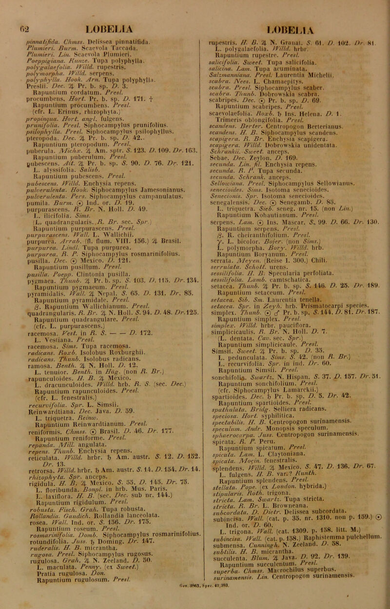 pinnatifida. Chmss. Delissea pinnatifida. Plumieri. Burm. Scaevola Taccada. Plumieri. Lin. Scaevola Plumieri. Poeppigiana. liiiuze. Tupa polyphylla. polygalaefolia. JVilld. rupcstris. polymorpha. JVilld. serpens. polyphylla. Hook. Arn. Tupa polyphylla. Preslii. Dee. 2J. Pr. b. sp. D. 3. Rapuntium cordatum. Presl. procumbens. Hort. Pr. b. sp. D. 171. + Rapuntium procumbens. Presl. (cfr. L. Erinus, rhizophyta.) propinqua. Hort. angi, fulgens. prunifolia. Presl. Siphocampylus prunifolius. psitophylla. Presl. Siphocampylus psilophyllus. pteropoda. Dec. 2J. Pr. b. sp. D. 42.. Rapuntium pteropodum. Presl. puberula. JVJichx. Am. sptr. S. 123. D. 109. Dr. 163. Rapuntium pubcrulum. Presl. pubescens. Ait. 2). Pr. b. sp. S. 90. D. 76. Dr. 121. L. alyssifolia. Salisb. Rapuntium pubescens. Presl. pubescens. JVilld. Enchysia repens. pulverulenta. Hook. Siphocampylus Jamesonianus. pulverulenta. Pers. Siphocampylus campanulatus. pumila. Burm. ® Ind. or. D. 19. purpurascens. R. Br. N. Holi. D. 49. L. ilicifolia. Sims. (L. quadrangularis../?. Br. sec. Spr.) Rapuntium purpurascens. Presl. purpurascens. JVall. L. Wallichii. purpurea. Arrab. (fl. flum. VIII. 156.) 2J. Rrasil. purpurea. Lindi. Tupa purpurea. purpurea. R. P. Siphocampylus rosmarinifolius. pusilla. Dec. ® Mexico. D. 121. Rapuntium pusillum. Presl. pusilla. Poepp. Clintonia pusilla, pygmaea. Thunb. % Pr. b. sp. 5. 103. Z?. 113. Dr. 134. Rapuntium pygmaeum. Presl. pyramidalis. JVall. 2J. Nepal. S. 65. D. 131. Dr. 85. Rapuntium pyramidale. Presl. R. Rapuntium Wallichianum. Presl. quadrangularis. R. Br. 2J. N. Holi. S. 94. D. 48. Dr. 125. Rapuntium quadrangulare. Presl. (cfr. L. purpurascens.) racemosa. J^est. in R. S. D. 172. L. Vestiana. Presl. racemosa. Sims. Tupa racemosa. radicans. Roxb. Isolobus Roxburghii. radicans. Thunb. Isolobus radicans, ramosa. Benth. 2J. N. Holi. D. 12. L. tenuior. Benth. in Hiig. (non R. Br.) rapunculoides. H. B. 2f Mexico. L. dracunculoides. IVilld. hrb. R. S. (sec. Dec.) Rapuntium rapunculoides. Presl. (cfr. L. fenestralis.) recurvifolia. Spr. L. Simsii. Reimvardtiana. Dec. Java. D. 59. L. triquetra. Reinw. Rapuntium Reinwardtianum. Presl. reniformis. Chmss. ® Brasil. D. 46. Dr. 17/. Rapuntium reniforme. Presl. repanda. IVI ili. angulata. repens. Thunb. Enchysia repens, reticulata. JVilld. hrbr. t) Am. austr. S. 12. D. 152. Dr. 13. retrorsa. JVilld. hrbr. Am. austr. S. 14. D. 154. Dr. 14. rhizophyta. Spr. anceps. rigidula. H. B. 2J. Mexico. S. 55. D. 145. Dr. /5. L. fioribunda. Bonpl. in hrb. Mus. Paris. L. laxiflora. H. B. (sec. Dec. sub nr. 144.) Rapuntium rigidulum. Presl. robusta. Fisch. Grah. Tupa robusta. Rollandia. Gaudich. Rollandia lanceolata. rosea. JVall. ind. or. S. 156. Dr. 175. Rapuntium roseum. Presl. rosmarini/'olia. Domb. Siphocampylus rosmarinifolius. rotundifolia. Juss. f, Dorning. Dr. 147. ruderalis. II. B. mierantha. rugosa. Presl. Siphocampylus rugosus. rugulosa. Grah. 2f N. Zeeland. D. 50. L. maculata. Penny. (ex Sweet.) Pratia rugulosa. Don. Rapuntium rugulosum. Presl. Om.HWJ. rupestris. II. B. 2J. N. (Iranat. 5. 61. D. 102. Dr NI L. polygalaefolia. JVilld. hrbr. Rapuntium rupestre. Presl. salici/olia. Sweet. Tupa salicifolia. salicina. Lam. Tupa acuminata. Salzmanniana. Presl. Laurentia Michelii. scabra. Nees. L. Chamaepilys. scabra. Presl. Siphocampylus scaber. scabra. Thunb. Dobrowskia scabra, scabripes. Dec. ® Pr. b. sp. D. 69. Rapuntium scabripes. Presl. scaevolacfolia. Roxb. b Ins. Helena. D. 1. Trimeris oblongifolia. Presl. scandens. Berter. Centropogon Berlcrianus. scandens. II. B. Siphocampylus scandens. scapigera. R. Br. Enchysia scapigera. scapigera. JVilld. Dobrowskia unidcnlata. Schranhii. Sweet. anceps. Sebae. Dec. Zeylon. D. 169. secunda. Lin. fi/. Enchysia repens. secunda. R. P. Tupa secunda. secunda. Schrank. anceps. Sel/owiana. Presl. Siphocampylus Sellowianus. senecioides. Sims. Isotoma senecioides. Senecionis. Spr. Isotoma senecioides. scnegalensis. Dec. ® Senegamb. D. 85. L. triquetra. Sieb. seneg. nr. 15. (non Lin.) Rapuntium Kohautianum. Presl. serpens. Lam. ® Ins. Mascar. S^ 99. D. 66. Dr. 130. Rapuntium serpens. Presl. /?. R. cheiranthifolium. Presl. y. L. bicolor. Bojer. (non Sims.) L. polymorpha. Bory. JVilld. hrb. Rapuntium Boryanum. Presl. serrata. Meyen. (Reise I. 300.) Chili. serrulata. Scholt. urens. sessilifolia. H. B. Specularia perfoliata. sessilifolia. Lamb. camtschatica. setacea. Thunb. 2J. Pr. b. sp. S. 146. D. 25. Dr. 189. Rapuntium setaceum. Presl. setacea. Sib. Sm. Laurentia tenella. setacea. Spr. in Zeyh. hrb. Prismatocarpi species, simplex. Thunb. ® / Pr. b. sp. S. 144. D. 81. Dr.\87. Rapuntium simplex. Presl. simplex. JVilld. hrbr. pauciflora. siinplicicaulis. R. Br. N. lloll. D. 7. (L. dentata. Cav. sec. Spr.) Rapuntium simplicicaule. Presl. Simsii. Sweet. 2J. Pr. b. sp. D. 35. L. pedunculata. Sims. S. 42. (non R. Br.) L. recurvifolia. Spr. in ind. Dr. 60. Rapuntium Simsii. Presl. sonchifolip. Swartz. N. Hispan. 5. 37. D. 157. Dr. 51. Rapuntium sonehifolium. Presl. (cfr. Siphocampylus Lamarckii.) spartioides. Dec. 1; Pr. b. sp. D. 5. Dr. 42. Rapuntium spartioides. Presl. spathulata. Bridg. Selliera radicans. speciosa. Hort. syphilitica. spectabilis. H. B. Centropogon surinamensis. speculum. Andr. Monopsis speculum. sphaerocarpa. Juss. Centropogon surinamensis. spicata. R. P. Peru. Rapuntium spicatum. Presl. spicata. Lam. L. Clayloniana. spicata. IVIogin. lencstralis. splendens. JVilld. 2J. Mexico. S. 47. D. 136. Dr. 67. L. fulgens. H. B. var.? Runth. Rapuntium splendens. Presl. stellata. Pope. (ex Loudon. hybrida.) stipularis. Roth. trigona. stricta. Lam. Swartz. Tupa Stricta. stricta. R. Br. L. Browneana. subcordata. D. Dictr. Delissea subcordata. subineisa. JVall. (cat. p. 35. nr. 1310. non p. 159.) © Ind. or. D. 60. L. trigona. JVall. (cat. 1309. p. 1o8. litt. M.) subineisa. JVall. (cat. p. 158.) llaphistemma pulchellum, submensa. Cunningh. N. Zeeland. D. 58. subtilis. H. B. mierantha. succulenta. Blum. 2J. .lava. D- J— Dr. 139. Rapuntium succulentum. Presl. superba- Chmss. Macrochilus superbus. surinamensis. Lin. Centropogon surinamensis. Spec. 4f<f,393.