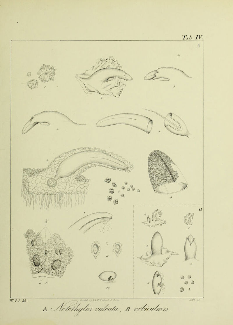 Tdlj. IV PnrU&cl by Cc. if WSnoUcOtt 7f Vork _A • yf /r//////fs.) i,Y//(Y//f/ J(P. J& yyy/y///y/>yj . WS.S.clfl.