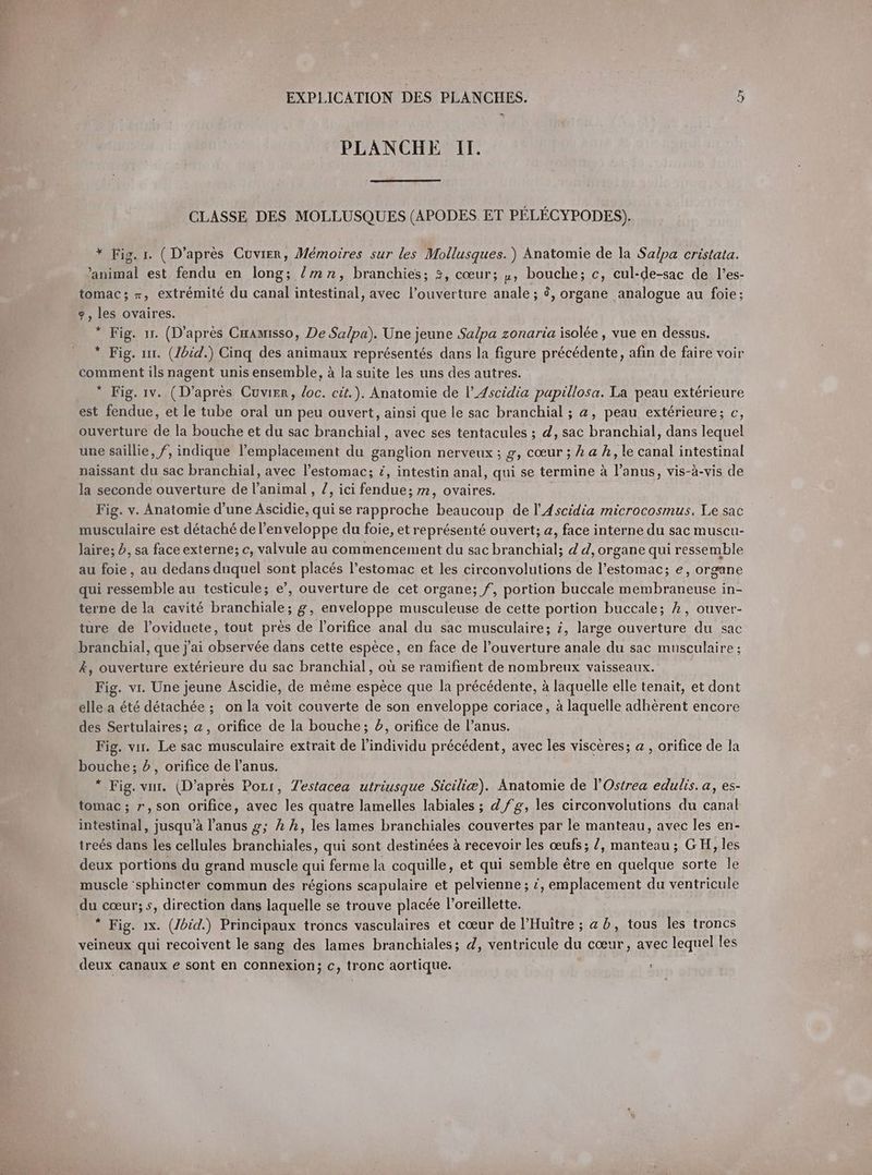 PLANCHE II. CLASSE DES MOLLUSQUES (APODES ET PELECYPODES). * Fig. ı. (D’après Cuvier, Mémoires sur les Mollusques. ) Anatomie de la Salpa cristata. ‘animal est fendu en long; /mn, branchies; 3, cœur; „, bouche; c, cul-de-sac de l’es- tomac; x, extrémité du canal intestinal, avec l’ouverture anale; à, organe analogue au foie; 9, les ovaires. * Fig. ır. (D'après Cæamisso, De Salpa). Une jeune Salpa zonaria isolée , vue en dessus. * Fig. ur. (Jbid.) Cinq des animaux représentés dans la figure précédente, afin de faire voir comment ils nagent unis ensemble, à la suite les uns des autres. * Fig. 1v. (D’après Cuvier, loc. cit.). Anatomie de l’Ascidia papillosa. La peau extérieure est fendue, et le tube oral un peu ouvert, ainsi que le sac branchial ; @, peau extérieure; c, ouverture de la bouche et du sac branchial, avec ses tentacules ; d, sac branchial, dans lequel une saillie, f, indique l'emplacement du ganglion nerveux ; g, cœur ; À a h, le canal intestinal naissant du sac branchial, avec l’estomac; i, intestin anal, qui se termine à l’anus, vis-à-vis de la seconde ouverture de l'animal, /, ici fendue; 2, ovaires. Fig. v. Anatomie d’une Ascidie, qui se rapproche beaucoup de l’Ascidia microcosmus. Le sac musculaire est détaché de l'enveloppe du foie, et représenté ouvert; a, face interne du sac muscu- laire; 5, sa face externe; c, valvule au commencement du sac branchial; d d, organe qui ressemble au foie , au dedans duquel sont placés l’estomac et les circonvolutions de l’estomac; e, organe qui ressemble au testicule; e’, ouverture de cet organe; f, portion buccale membraneuse in- terne de la cavité branchiale; g, enveloppe musculeuse de cette portion buccale; 2, ouver- ture de l’oviducte, tout près de l’orifice anal du sac musculaire; i, large ouverture du sac branchial, que j'ai observée dans cette espèce, en face de l’ouverture anale du sac musculaire; A, ouverture extérieure du sac branchial, où se ramifient de nombreux vaisseaux. Fig. vi. Une jeune Ascidie, de même espèce que la précédente, à laquelle elle tenait, et dont elle a été détachée ; on la voit couverte de son enveloppe coriace, à laquelle adhèrent encore des Sertulaires; a, orifice de la bouche; 5, orifice de l’anus. Fig. vu. Le sac musculaire extrait de l’individu précédent, avec les viscères; a, orifice de la bouche; à, orifice de l'anus. * Fig. vun. (D’après Port, Testacea utriusque Siciliæ). Anatomie de l’Ostrea edulis. a, es- tomac ; r, son orifice, avec les quatre lamelles labiales ; Z fg, les circonvolutions du canal intestinal, jusqu’à l’anus g; h h, les lames branchiales couvertes par le manteau, avec les en- treés dans les cellules branchiales, qui sont destinées à recevoir les œufs; /, manteau ; GH, les deux portions du grand muscle qui ferme la coquille, et qui semble être en quelque sorte le muscle ‘sphincter commun des régions scapulaire et pelvienne ; ’, emplacement du ventricule du cœur; s, direction dans laquelle se trouve placée l’oreillette. * Fig. 1x. (Ibid.) Principaux troncs vasculaires et cœur de l’Huitre; ab, tous les troncs veineux qui recoivent le sang des lames branchiales; d, ventricule du cœur, avec lequel les deux canaux e sont en connexion; c, tronc aortique.