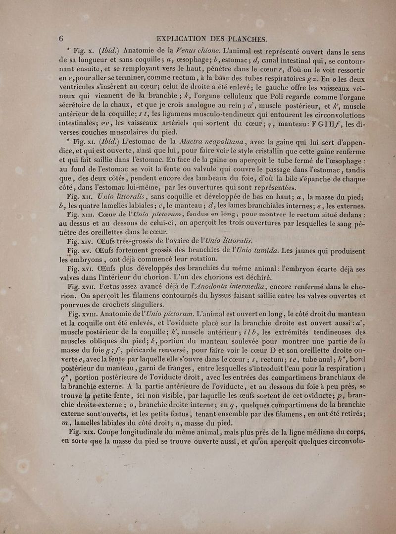 * Fig. x. (Ibid.) Anatomie de la Venus chione. L'animal est représenté ouvert dans le sens de sa longueur et sans coquille; a, œsophage; , estomac; d, canal intestinal qui, se contour- nant ensuite, et se remployant vers le haut, pénètre dans le cœur r, d’où.on le voit ressortir en s, pour aller se terminer, comme rectum , à la base des tubes respiratoires gz. En o les deux ventricules sinserent au cœur; celui de droite a été enlevé; le gauche offre les vaisseaux vei- neux qui viennent de la branchie ; #, l'organe celluleux que Poli regarde comme l'organe sécrétoire de la chaux, et que je crois analogue au rein; a’, muscle postérieur, et 4’, muscle antérieur dela coquille; s £, les ligamens musculo-tendineux qui entourent les circonvolutions intestinales; »v, les vaisseaux artériels qui sortent du cœur; ?, manteau: FGIH/, les di- verses couches musculaires du pied. * Fig. xr. (Ibid.) L’estomac de la Mactra neapolitana , avec la gaine qui lui sert d’appen- dice, et qui est ouverte, ainsi que lui, pour faire voir le style cristallin que cette gaine renferme et qui fait saillie dans l'estomac. En face de la gaine on aperçoit le tube fermé de l'œsophage : au fond de l'estomac se voit la fente ou valvule qui couvre le passage dans l'estomac, tandis que, des deux côtés, pendent encore des lambeaux du foie, d’où la bile s’epanche de chaque côté, dans l'estomac lui-même, par les ouvertures qui sont représentées. Fig. xır. Unio littoralis, sans coquille et développée de bas en haut; a, la masse du pied; d, les quatre lamelles labiales ; c, le manteau; d, les lames branchiales internes; e, les externes. Fig. xur. Cœur de l’Lnio pietorum, fondue en long, pour montrer le rectum situé dedans : au dessus et au dessous de celui-ci, on apercoit les trois ouvertures par lesquelles le sang pé- netre des oreillettes dans le cœur. Fig. xıv. OEufs très-grossis de l'ovaire de PUnio Zittoralis. Fig. xv. OEufs fortement grossis des branchies de l’Unio tumida. Les jaunes qui produisent les embryons , ont déjà commencé leur rotation. Fig. xvr. OEufs plus développés des branchies du même animal: l'embryon écarte déjà ses valves dans l’intérieur du chorion. L’un des chorions est déchiré. Fig. xvır. Foetus assez avancé déjà de l/rodonta intermedia, encore renfermé dans le cho- rion. On aperçoit les filamens contournés du byssus faisant saillie entre les valves ouvertes et pourvues de crochets singuliers. Fig. xvur. Anatomie de l’Unio pictorum. L'animal est ouvert en long, le côté droit du manteau et la coquille ont été enlevés, et l’oviducte placé sur la branchie droite est ouvert aussi: a, muscle postérieur de la coquille; A’, muscle antérieur ; £/b, les extrémités tendineuses des muscles obliques du pied; #, portion du manteau soulevée pour montrer une partie de la masse du foie g ; f‘, péricarde renversé, pour faire voir le cœur D et son oreillette droite ou- vertee, avec la fente par laquelle elle s'ouvre dans le cœur ; s, rectum; te, tube anal ; 2*, bord postérieur du manteau, garni de franges, entre lesquelles s’introduit l’eau pour la respiration ; g*, portion postérieure de l’oviducte droit, avec les entrées des compartimens branchiaux de la branchie externe. A la partie antérieure de l’oviducte, et au dessous du foie à peu près, se trouve la petite fente, ici non visible, par laquelle les œufs sortent de cet oviducte; p, bran- chie droite-externe ; o, branchie droite interne; eng, quelques compartimens de la branchie externe sont'ouveñts, et les petits fœtus, tenant ensemble par des filamens , en ont été retirés; m, lamelles labiales du côté droit; 7, masse du pied. Fig. xıx. Coupe longitudinale du même animal, mais plus près de la ligne médiane du corps, en sorte que la masse du pied se trouve ouverte aussi, et qu’on aperçoit quelques circonvolu-