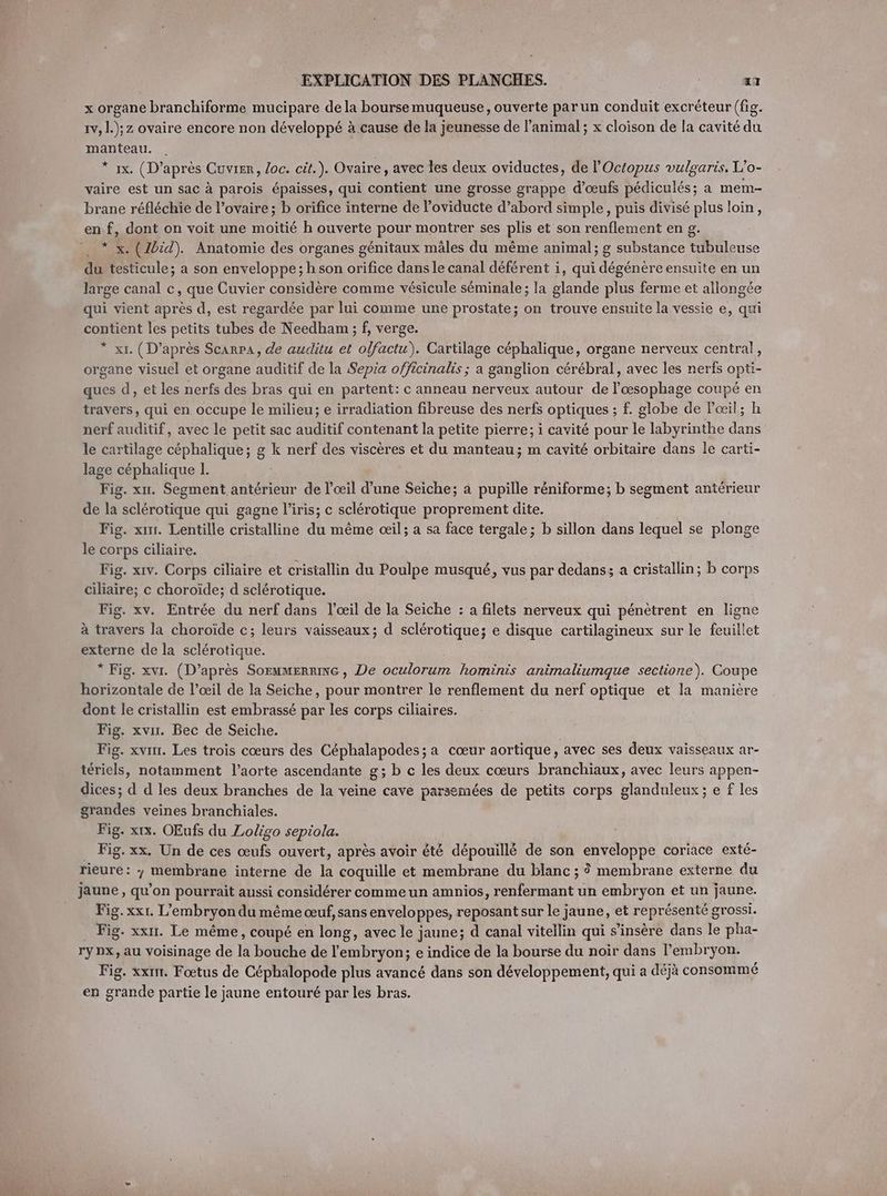 x organe branchiforme mucipare de la bourse muqueuse, ouverte parun conduit excréteur (fig. 1v, 1.);z ovaire encore non développé à cause de la jeunesse de l'animal ; x cloison de la cavité du ae , x. (D’après Cuvrer, loc. cit.). Ovaire, avec les deux oviductes, de l'Octopus vulgaris. L'o- vaire est un sac à parois épaisses, qui contient une grosse grappe d'œufs pédiculés; a mem- brane réfléchie de l’ovaire; b orifice interne de l’oviducte d’abord simple, puis divisé plus loin, en £ dont on voit une moitié h ouverte pour montrer ses plis et son renflement en g. x. (Ibid). Anatomie des organes génitaux mâles du même animal; g substance tubuleuse du Poule; a son enveloppe; h son orifice dans le canal déférent i, qui dégénère ensuite en un large canal c, que Cuvier considère comme vésicule seminale; la glande plus ferme et allongée qui vient après d, est regardée par lui comme une prostate; on trouve ensuite la vessie e, qui contient les petits tubes de Needham ; f, verge. * xı. ( D’après ScarpA, de auditu et olfactu). Cartilage céphalique, organe nerveux central, organe visuel et organe auditif de la Sepia officinalis ; a ganglion cérébral, avec les nerfs opti- ques d, et les nerfs des bras qui en partent: c anneau nerveux autour de l’oesophage coupé en travers, qui en. occupe le milieu; e irradiation fibreuse des nerfs optiques ; f. globe de Pœil; h nerf auditif, avec le petit sac tin contenant la petite pierre; i cavité pour le labyrinthe dans le cartilage Re ES g k nerf des viscères et du manteau; m cavité orbitaire dans le carti- lage céphalique I. Fig. xır. Segment antérieur de l’œil d’une Seiche; a pupille réniforme; b segment antérieur de la sclérotique qui gagne l'iris; c sclérotique proprement dite. Fig. x. Lentille cristalline du même œil; a sa face tergale ; b sillon dans lequel se plonge le corps ciliaire. Fig. xıv. Corps ciliaire et cristallin du Poulpe musqué, vus par dedans; a cristallin; b corps ciliaire; ce choroïde; d sclérotique. Fig. xv. Entrée du nerf dans l’œil de la Seiche : a filets nerveux qui pénètrent en ligne à travers la choroïde c; leurs vaisseaux; d sclérotique; e disque cartilagineux sur le feuillet externe de la sclérotique. * Fig. xvr. (D’après SoEMMERRInG, De oculorum hominis animaliumque sectione). Coupe horizontale de l’œil de la Seiche, pour montrer le renflement du nerf optique et la manière dont le cristallin est embrassé par les corps ciliaires. Fig. xvır. Bec de Seiche. Fig. xvur. Les trois cœurs des Céphalapodes; a cœur aortique, avec ses deux vaisseaux ar- tériels, notamment l'aorte ascendante g; b c les deux cœurs branchiaux, avec leurs appen- dices; d d les deux branches de la veine cave parsemées de petits corps glanduleux ; e f les grandes veines branchiales. Fig. xx. OEufs du Loligo sepiola. Fig. xx. Un de ces œufs ouvert, après avoir été dépouillé de son enveloppe coriace exté- rieure: y membrane interne de la coquille et membrane du blanc ; ? membrane externe du jaune , qu’on pourrait aussi considérer comme un amnios, renfermant un embryon et un jaune. Fig. xxr. L embryon du même œuf, sans enveloppes, reposant sur le jaune, et représenté grossi. Fig. xx. Le même, coupé en long, avec le jaune; d canal vitellin qui s’insere dans le pha- ry»x, au voisinage de la bouche de l'embryon; e indice de la bourse du noir dans l’embryon. ré xx. Foetus de Céphalopode plus avancé dans son développement, qui a déjà consommé en ey: partie le jaune entouré par les bras.