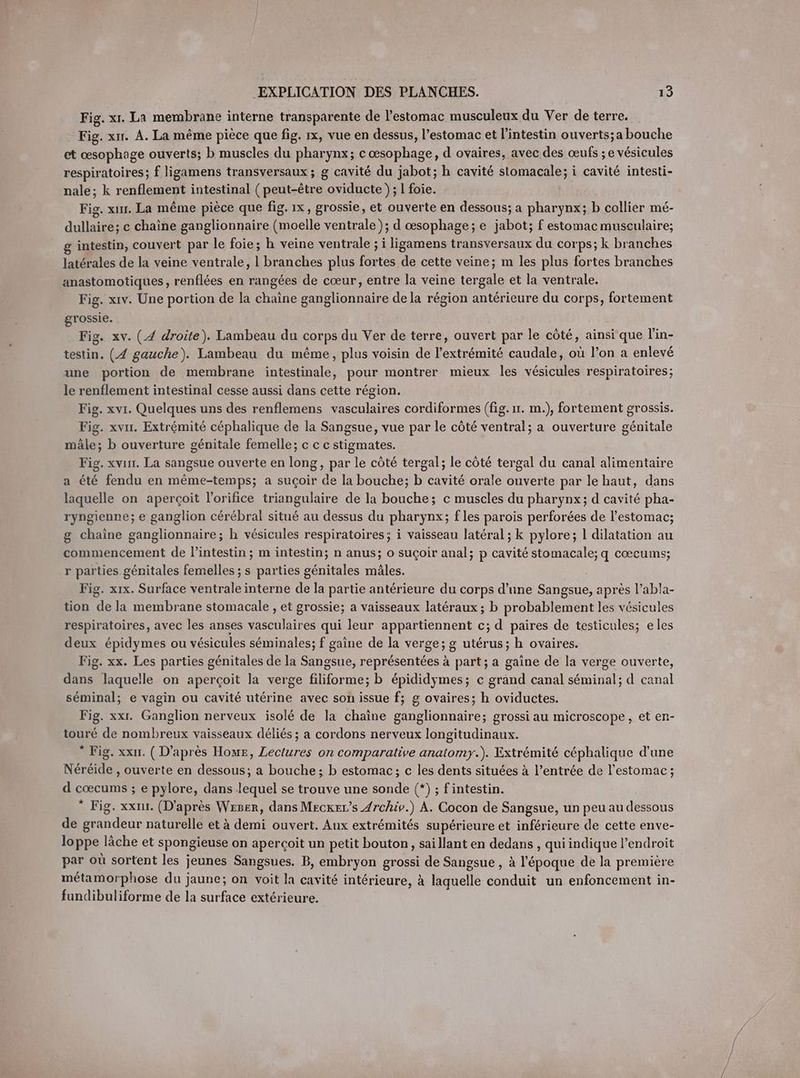Fig. xı. La membrane interne transparente de l’estomac musculeux du Ver de terre. Fig. xır. A. La même pièce que fig. 1x, vue en dessus, l’estomac et l'intestin ouverts;a bouche et œsophage ouverts; b muscles du pharynx; c œsophage, d ovaires, avec des œufs ; e vésicules respiratoires; f ligamens transversaux ; g cavité du jabot; h cavité stomacale; i cavité intesti- nale; k renflement intestinal (peut-être oviducte ); 1 foie. Fig. x. La même piece que fig. 1x, grossie, et ouverte en dessous; a pharynx; b collier mé- dullaire; c chaîne ganglionnaire (moelle ventrale); d œsophage ; e jabot; f estomac musculaire; intestin, couvert par le foie; h veine ventrale ; i ligamens transversaux du corps; k branches latérales de la veine ventrale, | branches plus fortes de cette veine; m les plus fortes branches anastomotiques, renflées en rangées de cœur, entre la veine tergale et la ventrale. Fig. xıv. Une portion de la chaine ganglionnaire de la région antérieure du corps, fortement grossie. Fig. xv. (4 droite). Lambeau du corps du Ver de terre, ouvert par le côté, ainsi que l'in- testin. (4 gauche). Lambeau du même, plus voisin de l'extrémité caudale, où l’on a enlevé une portion de membrane intestinale, pour montrer mieux les vésicules respiratoires; le renflement intestinal cesse aussi dans cette région. Fig. xvr. Quelques uns des renflemens vasculaires cordiformes (fig. 1r. m.), fortement grossis. Fig. xvır. Extrémité céphalique de la Sangsue, vue par le côté ventral; a ouverture génitale mäle; b ouverture génitale femelle; c c c stigmates. Fig. xvur. La sangsue ouverte en long, par le côté tergal; le côté tergal du canal alimentaire a été fendu en même-temps; a suçoir de la bouche; b cavité orale ouverte par le haut, dans laquelle on aperçoit l’orifice triangulaire de la bouche; c muscles du pharynx; d cavité pha- ryngienne; e ganglion cérébral situé au dessus du pharynx; f les parois perforées de l'estomac; g chaine ganglionnaire; h vésicules respiratoires; i vaisseau latéral ; k pylore; 1 dilatation au commencement de l'intestin; m intestin; n anus; o suçoir anal; p cavité stomacale; q coecums; r parties génitales femelles ; s parties génitales mâles. G Fig. xıx. Surface ventrale interne de la partie antérieure du corps d’une Sangsue, après l’abla- tion de la membrane stomacale , et grossie; a vaisseaux latéraux ; b probablement les vésicules respiratoires, avec les anses vasculaires qui leur appartiennent c; d paires de testicules; eles deux épidymes ou vésicules séminales; f gaine de la verge; g utérus; h ovaires. Fig. xx. Les parties génitales de la Sangsue, représentées à part; a gaine de la verge ouverte, dans laquelle on aperçoit la verge filiforme; b épididymes; c grand canal séminal; d canal seminal; e vagin ou cavité utérine avec son issue f; g ovaires; h oviductes. Fig. xx. Ganglion nerveux isolé de la chaine ganglionnaire; grossi au microscope, et en- touré de nombreux vaisseaux déliés ; a cordons nerveux longitudinaux. * Fig. xxır. ( D’après Homer, Lectures on comparative anatomy.). Extrémité céphalique d'une Néréide , ouverte en dessous; a bouche ; b estomac; c les dents situées à l’entrée de l'estomac; d coecums ; e pylore, dans lequel se trouve une sonde (*) ; fintestin. * Fig. xxni. (D'après Weser, dans Mecker’s /rchiv.) A. Cocon de Sangsue, un peu au dessous de grandeur naturelle et à demi ouvert. Aux extrémités supérieure et inférieure de cette enve- loppe lâche et spongieuse on aperçoit un petit bouton, saillant en dedans , qui indique l’endroit par où sortent les jeunes Sangsues. B, embryon grossi de Sangsue , à l'époque de la première métamorphose du jaune; on voit la cavité intérieure, à laquelle conduit un enfoncement in- fundibuliforme de la surface extérieure.