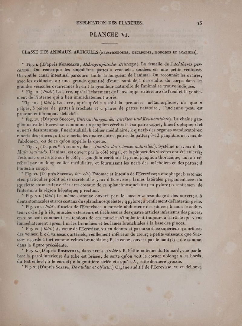 PLANCHE VI. CLASSE DES ANIMAUX ARTICULÉS (NEUSTICOPODES, DECAPODES, ISOPODES ET ACARIDES). * Fig. 1. (D’après Norpmann , Mikrographische Beitræge). La femelle de l' 4chtheres per- carum. On remarque les singulières pattes A crochets, soudées en une petite ventouse. On voit le canal intestinal parcourir toute la longueur de l'animal. On reconnaît les ovaires, avec les oviductes a; une grande quantité d'œufs sont déjà descendus du corps dans les grandes vésicules ovairiennes b; en 1 la grandeur naturelle de l'animal se trouve indiquée. * Fig. 11. (Ibid.) La larve, après l'éclatement de l'enveloppe extérieure de l'œuf et le gonfle- ment de l’interne qui a lieu immédiatement après. *Fig. ur. (Ibid). La larve, après qu’elle a subi la première métamorphose, n’a que 2 palpes, 3 paires de pattes à crochets et 2 paires de pattes natatoire; l’ancienne peau est presque entièrement détachée. * Fig. 1v. (D’après Succow, Untersuchungen der Insekten und Krustenthiere). La chaine gan- glionnaire de l’Ecrevisse commune; a ganglion cérébral et sa paire vague, b nerf optique; det e, nerfs des antennes; f nerf auditif; h collier médullaire; k q nerfs des organes manducatoires; r nerfs des pinces; s t u v nerfs des quatre autres paires de pattes; 8-13 ganglions nerveux de l'abdomen, ou de ce qu’on appelle la queue. * Fig. v, (D’après V. Aunourw, dans Annales des sciences naturelles). Systeme nerveux de la Maja squinado. L’animal est ouvert par le côté tergal, et la plupart des visceres ont été enlevés; l'estomac c est situé sur le côté; a ganglion cérébral; b grand ganglion thoracique, uni au cé- rébral par un long collier médullaire, et fournissant les nerfs des mächoires et des pattes; d l’intöstin coupé. * Fig. vi. (D’après Succow, loc. cit.) Estomac et intestin de l’Ecrevisse; a œsophage; b estomac eten particulier point où se sécrétent les yeux d’Ecrevisse ; lames latérales pergamentacées du squelette stomacal; e e f les arcs costaux de ce splanchnosquelette ; m pylore; o renflemen de l'intestin à la région hépatique; p rectum. * Fig. vır. (Ibid.) Le même estomac ouvert par le bas; &amp; a œsophage a dos ouvert; a b dents stomacales et arcs costaux du splanchnosquelette; qpylore; s renflement delintestin grêle, * Fig. vrır. (Ibid). Muscles de l’Ecrevisse; a muscle abducteur des pinces; b muscle adduc- teur;cdefghik, muscles extenseurs et fléchisseurs des quatre articles inférieurs des pinces; en x on voit comment les tendons de ces muscles s’implantent toujours à l'article qui vient immédiatement après; 1 m les branchies et les lames branchiales à la base des pinces. * Fig. 1x. (Ibid.) A, cœur de l’Ecrevisse, vu en dehors et par sasurface supérieure; a orifices des veines; b c d vaisseaux artériels, renflement inférieur du cœur, e petits vaisseaux que Suc- cow regarde à tort comme veines branchiales; B, le cœur, ouvert par le haut; b c de comme dans la figure précédente, * Fig. x. (D’après Rosentmar, dans ræiL’s Archiv). B, Petite antenne du Homard, vue par le bas; la paroi inférieure du tube est brisée, de sorte qu’on voit le cornet oblong; a les bords du test enlevé; b le cornet; c la gouttiere striée et arquée. A, cette dernière grossie. * Fig. x1 (D’après Scarpa, De auditu et olfactu.) Organe auditif de l’Ecrevisse, vu en dehors;