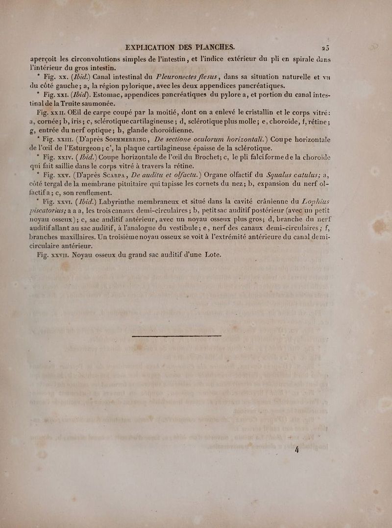 aperçoit les circonvolutions simples de l'intestin, et l'indice extérieur du pli en spirale dans l'intérieur du gros intestin. * Fig. xx. (Zbid.) Canal intestinal du Pleuronectes flesus, dans sa situation naturelle et vu du côté gauche; a, la région pylorique, avec les deux appendices pancréatiques. * Fig. xxı. (Jbid). Estomac, appendices pancréatiques du pylore a, et portion du canal intes- tinal de la Truite saumonée. Fig. xx11. OEil de carpe coupé par la moitié, dont on a enlevé le cristallin et le corps vitré: a, cornée; b, iris; c, sclérotique cartilagineuse ; d, sclérotique plus molle; e, choroide, f, rétine ; g, entrée du nerf optique; h, glande choroidienne. * Fig. xxıır. (D'après SoEMMERRING, De sectione oculorum horizontali.) Coupe horizontale de l'œil de l’Esturgeon; c’, la plaque cartilagineuse. épaisse de la sclérotique. * Fig. xxıv. ( Zbid.) Coupe horizontale de l’œil du Brochet; c, le pli falciforme de la choroide qui fait saillie dans le corps vitré à travers la rétine. * Fig. xxv. (D’après Scarra, De auditu et olfactu.) Organe olfactif du Squalus catulus; a, côté tergal de la membrane pituitaire qui tapisse les cornets du nez; b, expansion du nerf ol- factif a ; c, son renflement. * Fig. xxvı. (Ibid.) Labyrinthe membraneux et situé dans la cavité cränienne du Zophius piscatorius; a a a, les trois canaux demi-circulaires ; b, petitsac auditif postérieur (avec un petit noyau osseux); c, sac auditif antérieur, avec un noyau osseux plus gros; d, branche du nerf auditif allant au sac auditif, à analogue du vestibule; e, nerf des canaux demi-circulaires; f, branches maxillaires. Un troisième noyau osseux se voit à l’extrémité antérieure du canal demi- circulaire antérieur. Fig. xxvır. Noyau osseux du grand sac auditif d’une Lote.