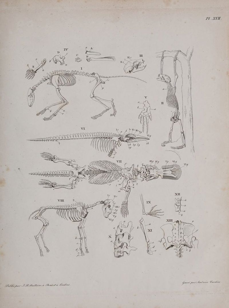 F1 .-AVIE: fre Br LD D 1: RE 5 ER: > : > 6 Date par- LP Barlliere. a Lord cha Londres . Grave pa wihmtrose Carrie.