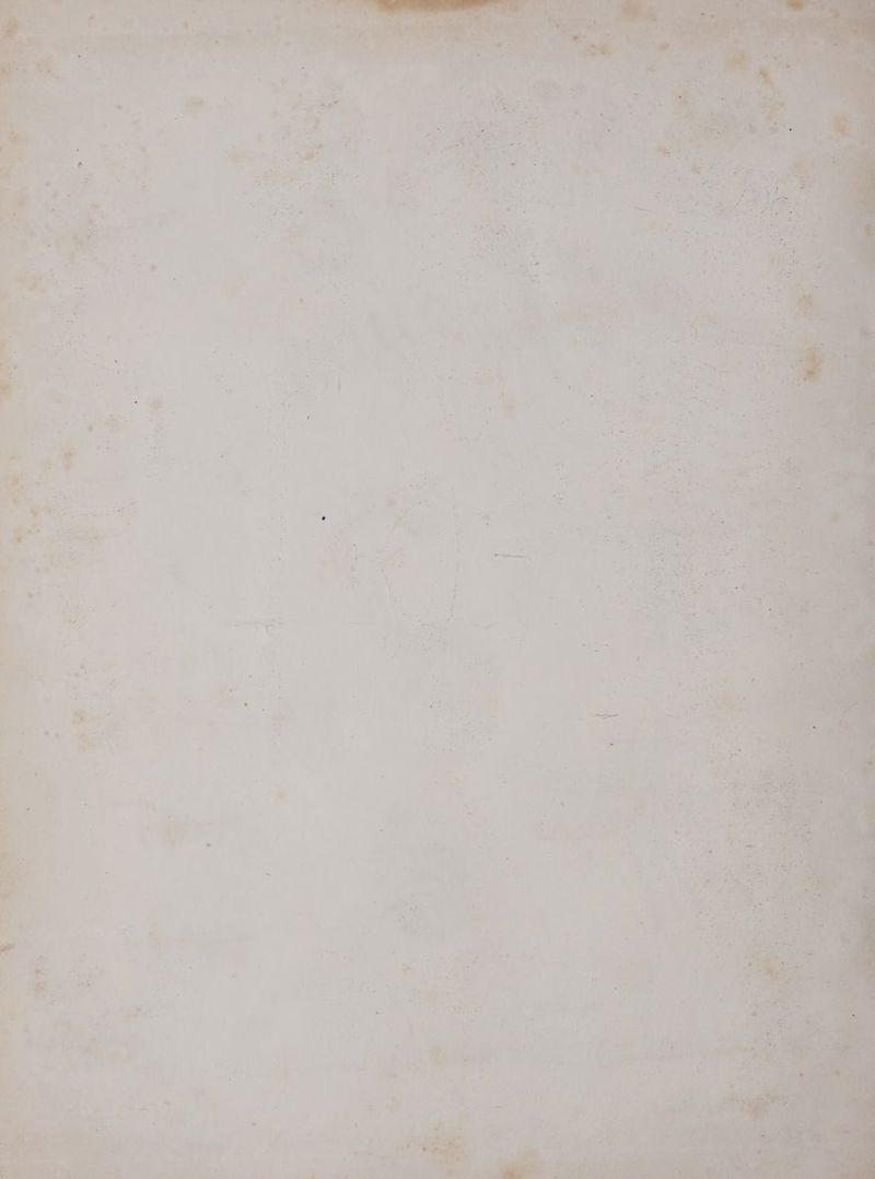 = : er E 2 ed CAT f Ur Er Er r R * > 2 Le 4 . V 1 + ï „rt ae dt 2 0% ir u; *