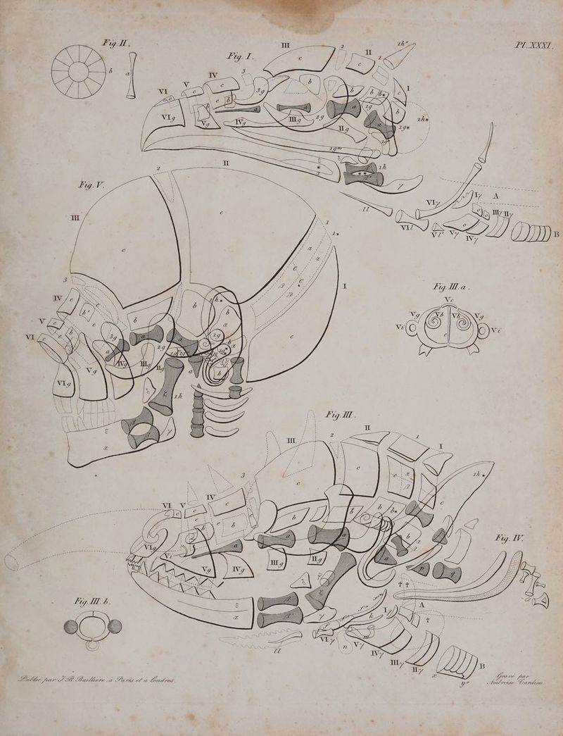 Falke par- 7 AP Bader 4 Pres ea ETAT /