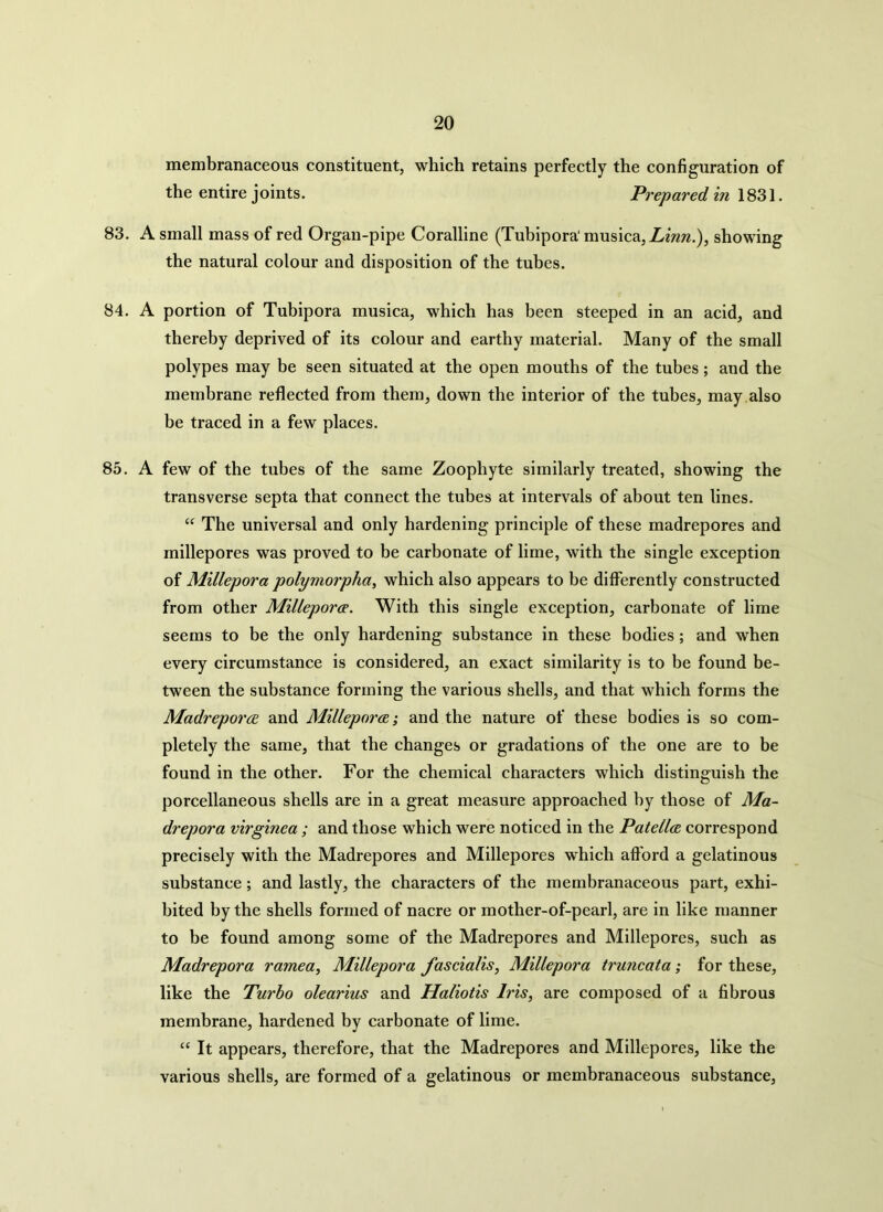 membranaceous constituent, which retains perfectly the configuration of the entire joints. Prepared in 1831. 83. A small mass of red Organ-pipe Coralline (Tubipora' musica, Linn.), showing the natural colour and disposition of the tubes. 84. A portion of Tubipora musica, which has been steeped in an acid, and thereby deprived of its colour and earthy material. Many of the small polypes may be seen situated at the open mouths of the tubes; and the membrane reflected from them, down the interior of the tubes, may also be traced in a few places. 85. A few of the tubes of the same Zoophyte similarly treated, showing the transverse septa that connect the tubes at intervals of about ten lines. “ The universal and only hardening principle of these madrepores and millepores was proved to be carbonate of lime, with the single exception of Millepora polymorpha, which also appears to be differently constructed from other Millepora. With this single exception, carbonate of lime seems to be the only hardening substance in these bodies ; and when every circumstance is considered, an exact similarity is to be found be- tween the substance forming the various shells, and that which forms the Madrepores and Millepora; and the nature of these bodies is so com- pletely the same, that the changes or gradations of the one are to be found in the other. For the chemical characters which distinguish the porcellaneous shells are in a great measure approached by those of Ma- drepora virginea ; and those which were noticed in the Patella correspond precisely with the Madrepores and Millepores which afford a gelatinous substance; and lastly, the characters of the membranaceous part, exhi- bited by the shells formed of nacre or mother-of-pearl, are in like manner to be found among some of the Madrepores and Millepores, such as Madrepora ramea, Millepora fascialis, Millepora truncata; for these, like the Turbo olearius and Haliotis Iris, are composed of a fibrous membrane, hardened by carbonate of lime. “ It appears, therefore, that the Madrepores and Millepores, like the various shells, are formed of a gelatinous or membranaceous substance,