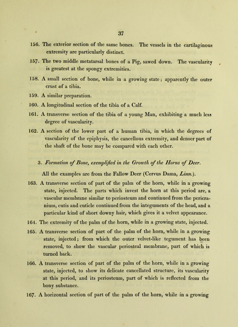 156. The exterior section of the same bones. The vessels in the cartilaginous extremity are particularly distinct. 157. The two middle metatarsal bones of a Pig, sawed down. The vascularity is greatest at the spongy extremities. 158. A small section of bone, while in a growing state; apparently the outer crust of a tibia. 159. A similar preparation. 160. A longitudinal section of the tibia of a Calf. 161. A transverse section of the tibia of a young Man, exhibiting a much less degree of vascularity. 162. A section of the lower part of a human tibia, in which the degrees of vascularity of the epiphysis, the cancellous extremity, and denser part of the shaft of the bone may be compared with each other. 3. Formation of Bone, exemplified in the Growth of the Horns of Deer. All the examples are from the Fallow Deer (Cervus Dama, Linn.). 163. A transverse section of part of the palm of the horn, while in a growing state, injected. The parts which invest the horn at this period are, a vascular membrane similar to periosteum and continued from the pericra- nium, cutis and cuticle continued from the integuments of the head, and a particular kind of short downy hair, which gives it a velvet appearance. 164. The extremity of the palm of the horn, while in a growing state, injected. 165. A transverse section of part of the palm of the horn, while in a growing state, injected; from which the outer velvet-like tegument has been removed, to show the vascular periosteal membrane, part of which is turned back. 166. A transverse section of part of the palm of the horn, while in a growing state, injected, to show its delicate cancellated structure, its vascularity at this period, and its periosteum, part of which is reflected from the bony substance. 167. A horizontal section of part of the palm of the horn, while in a growing