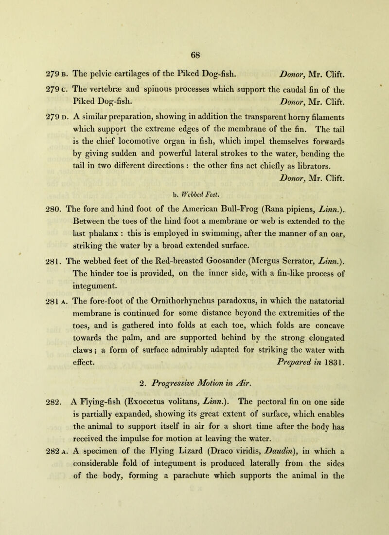 279 b. The pelvic cartilages of the Piked Dog-fish. Donor, Mr. Clift. 279 c. The vertebrae and spinous processes which support the caudal fin of the Piked Dog-fish. Donor, Mr. Clift. 279 d. A similar preparation, showing in addition the transparent horny filaments which support the extreme edges of the membrane of the fin. The tail is the chief locomotive organ in fish, which impel themselves forwards by giving sudden and powerful lateral strokes to the water, bending the tail in two different directions : the other fins act chiefly as librators. Donor, Mr. Clift. b. Webbed Feet. 280. The fore and hind foot of the American Bull-Frog (Rana pipiens, Linn.). Between the toes of the hind foot a membrane or web is extended to the last phalanx : this is employed in swimming, after the manner of an oar, striking the water by a broad extended surface. 281. The webbed feet of the Red-breasted Goosander (Mergus Serrator, Linn.). The hinder toe is provided, on the inner side, with a fin-like process of integument. 281 a. The fore-foot of the Ornithorhynchus paradoxus, in which the natatorial membrane is continued for some distance beyond the extremities of the toes, and is gathered into folds at each toe, which folds are concave towards the palm, and are supported behind by the strong elongated claws; a form of surface admirably adapted for striking the water with effect. Prepared in 1831. 2. Progressive Motion in Air. 282. A Flying-fish (Exocoetus volitans, Linn.). The pectoral fin on one side is partially expanded, showing its great extent of surface, which enables the animal to support itself in air for a short time after the body has received the impulse for motion at leaving the water. 282 a. A specimen of the Flying Lizard (Draco viridis, Daudin), in which a considerable fold of integument is produced laterally from the sides of the body, forming a parachute which supports the animal in the