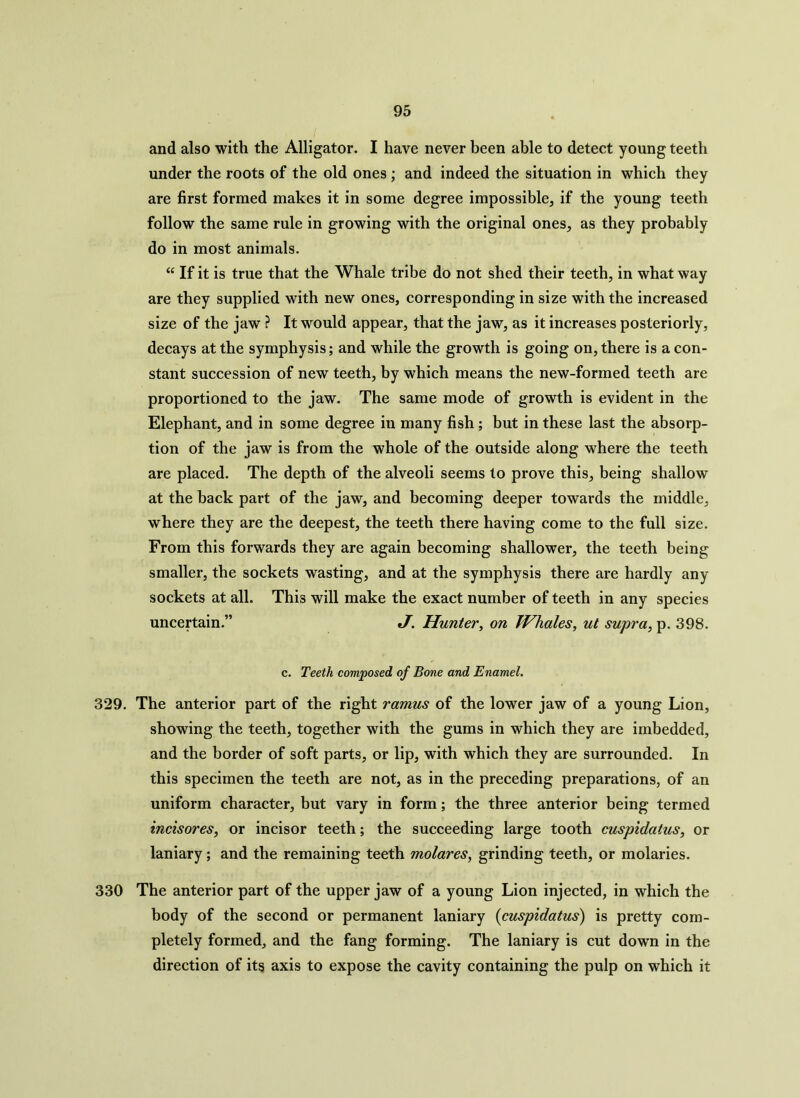 and also with the Alligator. I have never been able to detect young teeth under the roots of the old ones ; and indeed the situation in which they are first formed makes it in some degree impossible, if the young teeth follow the same rule in growing with the original ones, as they probably do in most animals. “ If it is true that the Whale tribe do not shed their teeth, in what way are they supplied with new ones, corresponding in size with the increased size of the jaw ? It would appear, that the jaw, as it increases posteriorly, decays at the symphysis; and while the growth is going on, there is a con- stant succession of new teeth, by which means the new-formed teeth are proportioned to the jaw. The same mode of growth is evident in the Elephant, and in some degree in many fish ; but in these last the absorp- tion of the jaw is from the whole of the outside along where the teeth are placed. The depth of the alveoli seems to prove this, being shallow at the back part of the jaw, and becoming deeper towards the middle, where they are the deepest, the teeth there having come to the full size. From this forwards they are again becoming shallower, the teeth being smaller, the sockets wasting, and at the symphysis there are hardly any sockets at all. This will make the exact number of teeth in any species uncertain.” J. Hunter, on Whales, ut supra, p. 398. c. Teeth composed of Bone and Enamel. 329. The anterior part of the right ramus of the lower jaw of a young Lion, showing the teeth, together with the gums in which they are imbedded, and the border of soft parts, or lip, with which they are surrounded. In this specimen the teeth are not, as in the preceding preparations, of an uniform character, but vary in form; the three anterior being termed incisores, or incisor teeth; the succeeding large tooth cuspidatus, or laniary; and the remaining teeth molares, grinding teeth, or molaries. 330 The anterior part of the upper jaw of a young Lion injected, in which the body of the second or permanent laniary (cuspidatus) is pretty com- pletely formed, and the fang forming. The laniary is cut down in the direction of its axis to expose the cavity containing the pulp on which it