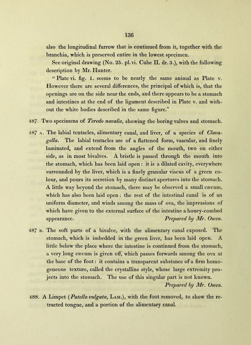 also the longitudinal furrow that is continued from it, together with the branchia, which is preserved entire in the lowest specimen. See original drawing (No. 25. pl.vi. Cube II. dr. 3.), with the following description by Mr. Hunter. “ Plate vi. fig. 1. seems to be nearly the same animal as Plate v. However there are several differences, the principal of which is, that the openings are on the side near the ends, and there appears to be a stomach and intestines at the end of the ligament described in Plate v. and with- out the white bodies described in the same figure.” 487- Two specimens of Teredo navalis, showing the boring valves and stomach. 487 a. The labial tentacles, alimentary canal, and liver, of a species of Clava- gella. The labial tentacles are of a flattened form, vascular, and finely laminated, and extend from the angles of the mouth, two on either side, as in most bivalves. A bristle is passed through the mouth into the stomach, which has been laid open : it is a dilated cavity, everywhere surrounded by the liver, which is a finely granular viscus of a green co- lour, and pours its secretion by many distinct apertures into the stomach. A little way beyond the stomach, there may be observed a small csecum, which has also been laid open: the rest of the intestinal canal is of an uniform diameter, and winds among the mass of ova, the impressions of which have given to the external surface of the intestine a honey-combed appearance. Prepared by Mr. Owen. 487 k. The soft parts of a bivalve, with the alimentary canal exposed. The stomach, which is imbedded in the green liver, has been laid open. A little below the place where the intestine is continued from the stomach, a very long caecum is given off, which passes forwards among the ova at the base of the foot: it contains a transparent substance of a firm homo- geneous texture, called the crystalline style, whose large extremity pro- jects into the stomach. The use of this singular part is not known. Prepared by Mr. Owen. 488. A Limpet {Patella vulgata, Lam.), with the foot removed, to show the re- tracted tongue, and a portion of the alimentary canal.