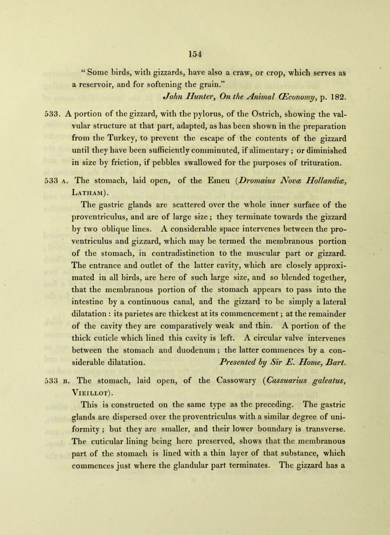 “ Some birds, with gizzards, have also a craw, or crop, which serves as a reservoir, and for softening the grain.” John Hunter, On the Animal (Economy, p. 182. 533. A portion of the gizzard, with the pylorus, of the Ostrich, showing the val- vular structure at that part, adapted, as has been shown in the preparation from the Turkey, to prevent the escape of the contents of the gizzard until they have been sufficiently comminuted, if alimentary ; or diminished in size by friction, if pebbles swallowed for the purposes of trituration. 533 a. The stomach, laid open, of the Emeu (Dromaius Novae. Hollandicc, Latham). The gastric glands are scattered over the whole inner surface of the proventriculus, and are of large size; they terminate towards the gizzard by two oblique lines. A considerable space intervenes between the pro- ventriculus and gizzard, which may be termed the membranous portion of the stomach, in contradistinction to the muscular part or gizzard. The entrance and outlet of the latter cavity, which are closely approxi- mated in all birds, are here of such large size, and so blended together, that the membranous portion of the stomach appears to pass into the intestine by a continuous canal, and the gizzard to be simply a lateral dilatation : its parietes are thickest at its commencement; at the remainder of the cavity they are comparatively weak and thin. A portion of the thick cuticle which lined this cavity is left. A circular valve intervenes between the stomach and duodenum ; the latter commences by a con- siderable dilatation. Presented by Sir E. Home, Bart. 533 b. The stomach, laid open, of the Cassowary (Cassuarius galeatus, Vieillot). This is constructed on the same type as the preceding. The gastric glands are dispersed over the proventriculus with a similar degree of uni- formity ; but they are smaller, and their lower boundary is transverse. The cuticular lining being here preserved, shows that the membranous part of the stomach is lined with a thin layer of that substance, which commences just where the glandular part terminates. The gizzard has a