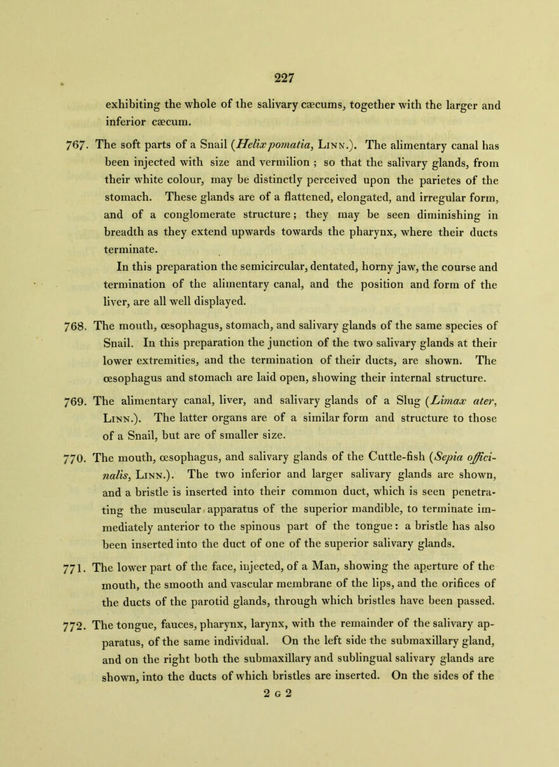 exhibiting the whole of the salivary ceecums, together with the larger and inferior caecum. 767- The soft parts of a Snail {Helixpomatia, Linn.). The alimentary canal has been injected with size and vermilion ; so that the salivary glands, from their white colour, may be distinctly perceived upon the parietes of the stomach. These glands are of a flattened, elongated, and irregular form, and of a conglomerate structure; they may be seen diminishing in breadth as they extend upwards towards the pharynx, where their ducts terminate. In this preparation the semicircular, dentated, horny jaw, the course and termination of the alimentary canal, and the position and form of the liver, are all well displayed. 768. The mouth, oesophagus, stomach, and salivary glands of the same species of Snail. In this preparation the junction of the two salivary glands at their lower extremities, and the termination of their ducts, are shown. The oesophagus and stomach are laid open, showing their internal structure. 769. The alimentary canal, liver, and salivary glands of a Slug {Limax ater, Linn.). The latter organs are of a similar form and structure to those of a Snail, but are of smaller size. 770. The mouth, oesophagus, and salivary glands of the Cuttle-fish (Sepia offici- nalis, Linn.). The two inferior and larger salivary glands are shown, and a bristle is inserted into their common duct, which is seen penetra- ting the muscular apparatus of the superior mandible, to terminate im- mediately anterior to the spinous part of the tongue: a bristle has also been inserted into the duct of one of the superior salivary glands. 771. The lower part of the face, injected, of a Man, showing the aperture of the mouth, the smooth and vascular membrane of the lips, and the orifices of the ducts of the parotid glands, through which bristles have been passed. 772. The tongue, fauces, pharynx, larynx, with the remainder of the salivary ap- paratus, of the same individual. On the left side the submaxillary gland, and on the right both the submaxillary and sublingual salivary glands are shown, into the ducts of which bristles are inserted. On the sides of the 2 g 2
