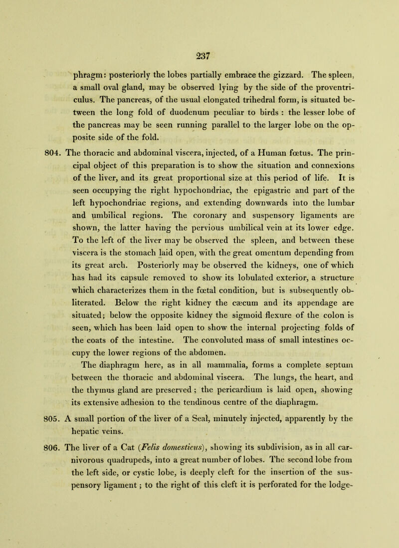 phragm: posteriorly the lobes partially embrace the gizzard. The spleen, a small oval gland, may be observed lying by the side of the proventri- culus. The pancreas, of the usual elongated trihedral form, is situated be- tween the long fold of duodenum peculiar to birds : the lesser lobe of the pancreas may be seen running parallel to the larger lobe on the op- posite side of the fold. 804. The thoracic and abdominal viscera, injected, of a Human foetus. The prin- cipal object of this preparation is to show the situation and connexions of the liver, and its great proportional size at this period of life. It is seen occupying the right hypochondriac, the epigastric and part of the left hypochondriac regions, and extending downwards into the lumbar and umbilical regions. The coronary and suspensory ligaments are shown, the latter having the pervious umbilical vein at its lower edge. To the left of the liver may be observed the spleen, and between these viscera is the stomach laid open, with the great omentum depending from its great arch. Posteriorly may be observed the kidneys, one of which has had its capsule removed to show its lobulated exterior, a structure which characterizes them in the foetal condition, but is subsequently ob- literated. Below the right kidney the caecum and its appendage are situated; below the opposite kidney the sigmoid flexure of the colon is seen, which has been laid open to show the internal projecting folds of the coats of the intestine. The convoluted mass of small intestines oc- cupy the lower regions of the abdomen. The diaphragm here, as in all mammalia, forms a complete septum between the thoracic and abdominal viscera. The lungs, the heart, and the thymus gland are preserved ; the pericardium is laid open, showing its extensive adhesion to the tendinous centre of the diaphragm. 805. A small portion of the liver of a Seal, minutely injected, apparently by the hepatic veins. 806. The liver of a Cat (Felis domesticus), showing its subdivision, as in all car- nivorous quadrupeds, into a great number of lobes. The second lobe from the left side, or cystic lobe, is deeply cleft for the insertion of the sus- pensory ligament; to the right of this cleft it is perforated for the lodge-