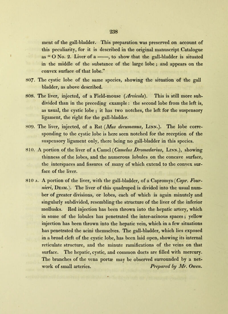 ment of the gall-bladder. This preparation was preserved on account of this peculiarity, for it is described in the original manuscript Catalogue as “ O No. 2. Liver of a , to show that the gall-bladder is situated in the middle of the substance of the large lobe ; and appears on the convex surface of that lobe.” 807- The cystic lobe of the same species, showing the situation of the gall bladder, as above described. 808. The liver, injected, of a Field-mouse (Arvicola). This is still more sub- divided than in the preceding example : the second lobe from the left is, as usual, the cystic lobe ; it has two notches, the left for the suspensory ligament, the right for the gall-bladder. 809. The liver, injected, of a Rat (Mus decumanus, Linn.). The lobe corre- sponding to the cystic lobe is here seen notched for the reception of the suspensory ligament only, there being no gall-bladder in this species. 810. A portion of the liver of a Camel (Camelus Dromedarius, Linn.), showing thinness of the lobes, and the numerous lobules on the concave surface, the interspaces and fissures of many of which extend to the convex sur- face of the liver. 810 a. A portion of the liver, with the gall-bladder, of a Capromys (Capr. Four- nieri, Desm.). The liver of this quadruped is divided into the usual num- ber of greater divisions, or lobes, each of which is again minutely and singularly subdivided, resembling the structure of the liver of the inferior mollusks. Red injection has been thrown into the hepatic artery, which in some of the lobules has penetrated the inter-acinous spaces ; yellow injection has been thrown into the hepatic vein, which in a few situations has penetrated the acini themselves. The gall-bladder, which lies exposed in a broad cleft of the cystic lobe, has been laid open, showing its internal reticulate structure, and the minute ramifications of the veins on that surface. The hepatic, cystic, and common ducts are filled with mercury. The branches of the vena portae may be observed surrounded by a net- work of small arteries. Prepared by Mr. Owen.