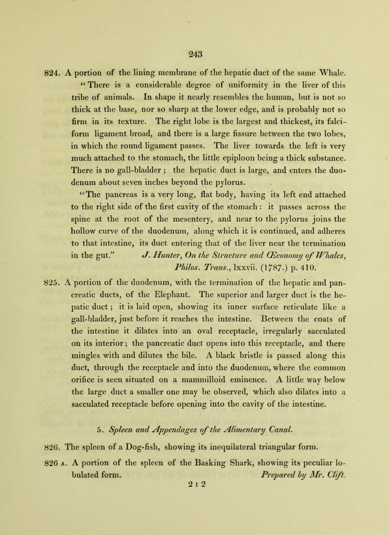 824. A portion of the lining membrane of the hepatic duct of the same Whale. “ There is a considerable degree of uniformity in the liver of this tribe of animals. In shape it nearly resembles the human, but is not so thick at the base, nor so sharp at the lower edge, and is probably not so firm in its texture. The right lobe is the largest and thickest, its falci- form ligament broad, and there is a large fissure between the two lobes, in which the round ligament passes. The liver towards the left is very much attached to the stomach, the little epiploon being a thick substance. There is no gall-bladder ; the hepatic duct is large, and enters the duo- denum about seven inches beyond the pylorus. “ The pancreas is a very long, flat body, having its left end attached to the right side of the first cavity of the stomach : it passes across the spine at the root of the mesentery, and near to the pylorus joins the hollow curve of the duodenum, along which it is continued, and adheres to that intestine, its duct entering that of the liver near the termination in the gut.” J. Hunter, On the Structure and (Economy of Whales, Philos. Trans., lxxvii. (1787.) p. 410. 825. A portion of the duodenum, with the termination of the hepatic and pan- creatic ducts, of the Elephant. The superior and larger duct is the he- patic duct; it is laid open, showing its inner surface reticulate like a gall-bladder, just before it reaches the intestine. Between the coats of the intestine it dilates into an oval receptacle, irregularly sacculated on its interior; the pancreatic duct opens into this receptacle, and there mingles with and dilutes the bile. A black bristle is passed along this duct, through the receptacle and into the duodenum, where the common orifice is seen situated on a mammilloid eminence. A little way below the large duct a smaller one may be observed, which also dilates into a sacculated receptacle before opening into the cavity of the intestine. 5. Spleen and Appendages of the Alimentary Canal. 826. The spleen of a Dog-fish, showing its inequilateral triangular form. 826 a. A portion of the spleen of the Basking Shark, showing its peculiar ta- bulated form. Prepared by Mr. Clift. 2 i 2