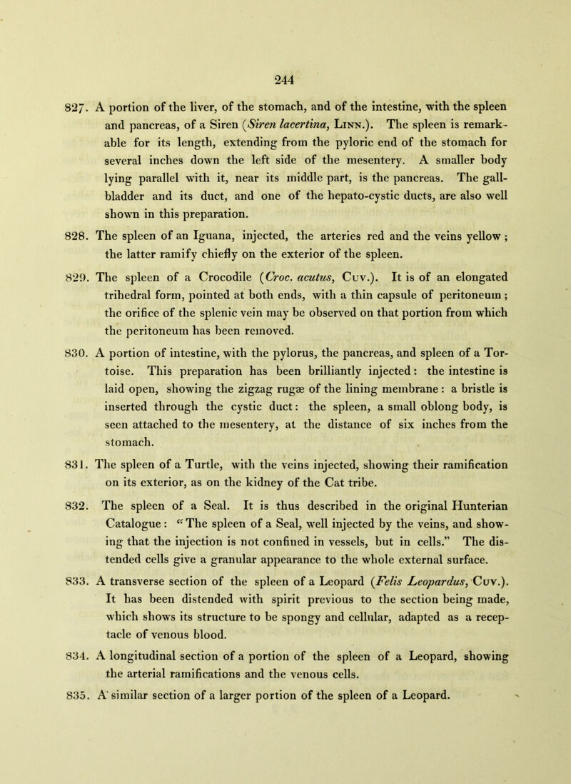 82. A portion of the liver, of the stomach, and of the intestine, with the spleen and pancreas, of a Siren (Siren lacertina, Linn.). The spleen is remark- able for its length, extending from the pyloric end of the stomach for several inches down the left side of the mesentery. A smaller body lying parallel with it, near its middle part, is the pancreas. The gall- bladder and its duct, and one of the hepato-cystic ducts, are also well shown in this preparation. 828. The spleen of an Iguana, injected, the arteries red and the veins yellow ; the latter ramify chiefly on the exterior of the spleen. 829. The spleen of a Crocodile (Ooc. acutus, Cuv.). It is of an elongated trihedral form, pointed at both ends, with a thin capsule of peritoneum; the orifice of the splenic vein may be observed on that portion from which the peritoneum has been removed. 830. A portion of intestine, with the pylorus, the pancreas, and spleen of a Tor- toise. This preparation has been brilliantly injected: the intestine is laid open, showing the zigzag rugae of the lining membrane: a bristle is inserted through the cystic duct: the spleen, a small oblong body, is seen attached to the mesentery, at the distance of six inches from the stomach. 831. The spleen of a Turtle, with the veins injected, showing their ramification on its exterior, as on the kidney of the Cat tribe. 832. The spleen of a Seal. It is thus described in the original Hunterian Catalogue : “ The spleen of a Seal, well injected by the veins, and show- ing that the injection is not confined in vessels, but in cells.” The dis- tended cells give a granular appearance to the whole external surface. 833. A transverse section of the spleen of a Leopard (Felts Leopardus, Cuv.). It has been distended with spirit previous to the section being made, which shows its structure to be spongy and cellular, adapted as a recep- tacle of venous blood. 834. A longitudinal section of a portion of the spleen of a Leopard, showing the arterial ramifications and the venous cells. 835. A similar section of a larger portion of the spleen of a Leopard.