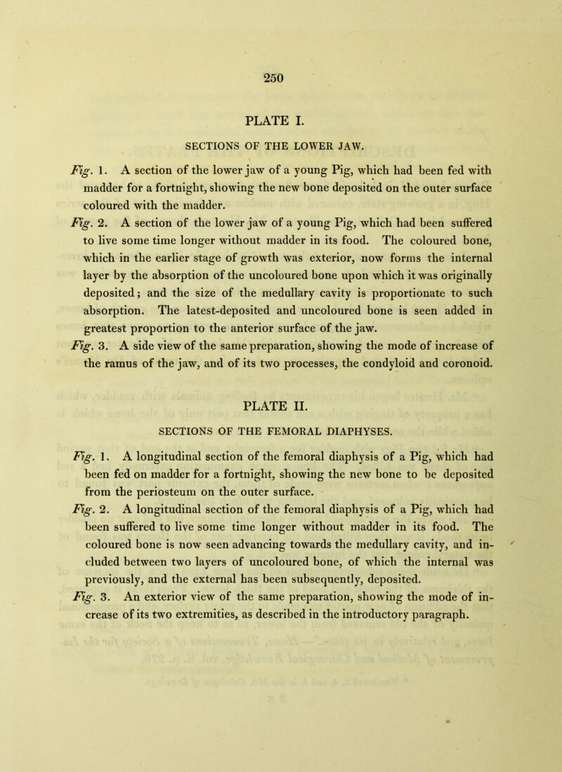 PLATE I. SECTIONS OF THE LOWER JAW. Fig. 1. A section of the lower jaw of a young Pig, which had been fed with madder for a fortnight, showing the new bone deposited on the outer surface coloured with the inadder. Fig. 2. A section of the lower jaw of a young Pig, which had been suffered to live some time longer without madder in its food. The coloured bone, which in the earlier stage of growth was exterior, now forms the internal layer by the absorption of the uncoloured bone upon which it was originally deposited; and the size of the medullary cavity is proportionate to such absorption. The latest-deposited and uncoloured bone is seen added in greatest proportion to the anterior surface of the jaw. Fig. 3. A side view of the same preparation, showing the mode of increase of the ramus of the jaw, and of its two processes, the condyloid and coronoid. PLATE II. SECTIONS OF THE FEMORAL DIAPHYSES. Fig. 1. A longitudinal section of the femoral diaphysis of a Pig, which had been fed on madder for a fortnight, showing the new hone to be deposited from the periosteum on the outer surface. Fig. 2. A longitudinal section of the femoral diaphysis of a Pig, which had been suffered to live some time longer without madder in its food. The coloured bone is now seen advancing towards the medullary cavity, and in- cluded between two layers of uncoloured bone, of which the internal was previously, and the external has been subsequently, deposited. Fig. 3. An exterior view of the same preparation, showing the mode of in- crease of its two extremities, as described in the introductory paragraph.