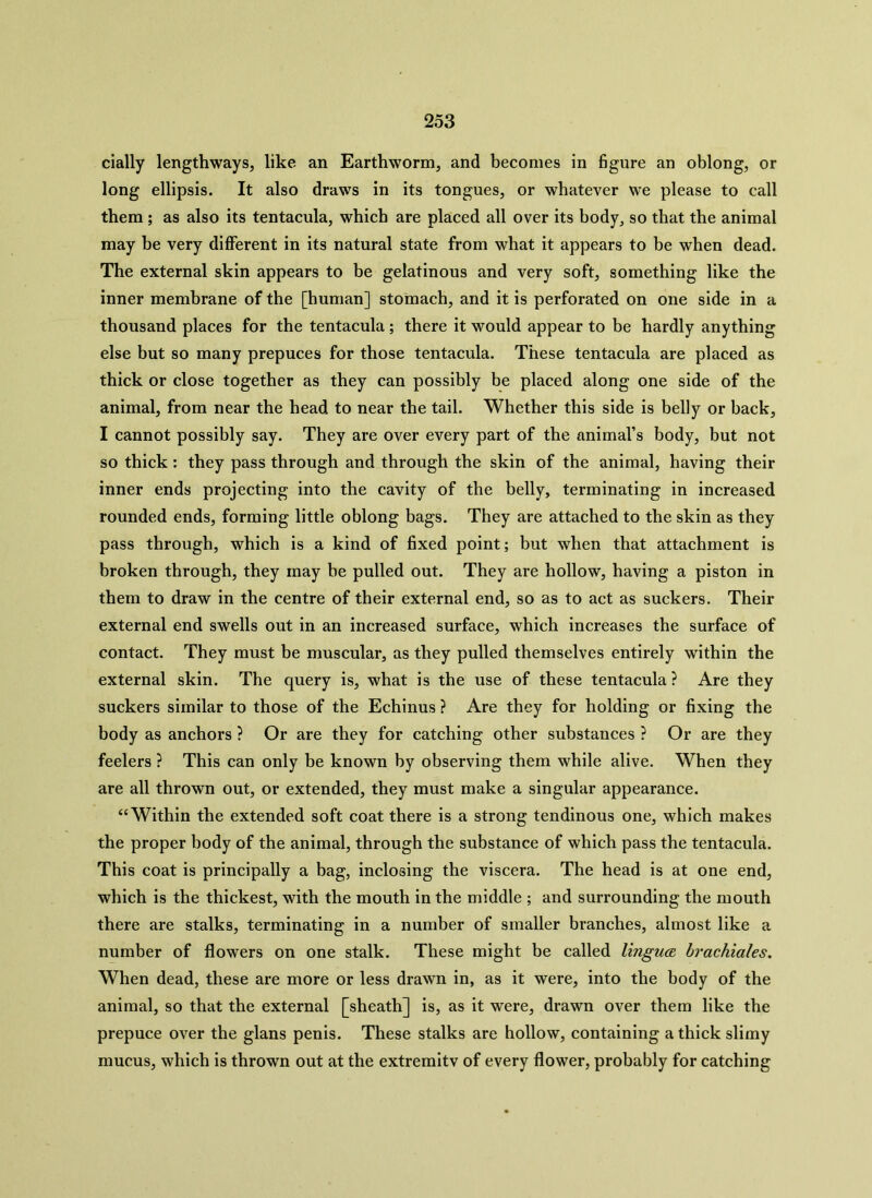 cially lengthways, like an Earthworm, and becomes in figure an oblong, or long ellipsis. It also draws in its tongues, or whatever we please to call them ; as also its tentacula, which are placed all over its body, so that the animal may be very different in its natural state from what it appears to be when dead. The external skin appears to be gelatinous and very soft, something like the inner membrane of the [human] stomach, and it is perforated on one side in a thousand places for the tentacula ; there it would appear to be hardly anything else but so many prepuces for those tentacula. These tentacula are placed as thick or close together as they can possibly be placed along one side of the animal, from near the head to near the tail. Whether this side is belly or back, I cannot possibly say. They are over every part of the animal’s body, but not so thick: they pass through and through the skin of the animal, having their inner ends projecting into the cavity of the belly, terminating in increased rounded ends, forming little oblong bags. They are attached to the skin as they pass through, which is a kind of fixed point; but when that attachment is broken through, they may be pulled out. They are hollow, having a piston in them to draw in the centre of their external end, so as to act as suckers. Their external end swells out in an increased surface, which increases the surface of contact. They must be muscular, as they pulled themselves entirely within the external skin. The query is, what is the use of these tentacula ? Are they suckers similar to those of the Echinus ? Are they for holding or fixing the body as anchors ? Or are they for catching other substances ? Or are they feelers ? This can only be known by observing them while alive. When they are all thrown out, or extended, they must make a singular appearance. “Within the extended soft coat there is a strong tendinous one, which makes the proper body of the animal, through the substance of which pass the tentacula. This coat is principally a bag, inclosing the viscera. The head is at one end, which is the thickest, with the mouth in the middle ; and surrounding the mouth there are stalks, terminating in a number of smaller branches, almost like a number of flowers on one stalk. These might be called lingua brachiales. When dead, these are more or less drawn in, as it were, into the body of the animal, so that the external [sheath] is, as it were, drawn over them like the prepuce over the glans penis. These stalks are hollow, containing a thick slimy mucus, which is thrown out at the extremitv of every flower, probably for catching