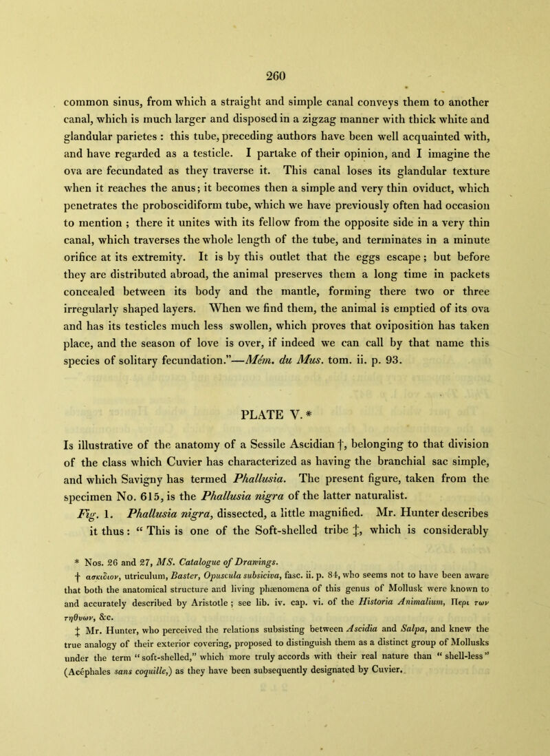 common sinus, from which a straight and simple canal conveys them to another canal, which is much larger and disposed in a zigzag manner with thick white and glandular parietes : this tube, preceding authors have been well acquainted with, and have regarded as a testicle. I partake of their opinion, and I imagine the ova are fecundated as they traverse it. This canal loses its glandular texture when it reaches the anus; it becomes then a simple and very thin oviduct, which penetrates the proboscidiform tube, which we have previously often had occasion to mention ; there it unites with its fellow from the opposite side in a very thin canal, which traverses the whole length of the tube, and terminates in a minute orifice at its extremity. It is by this outlet that the eggs escape; but before they are distributed abroad, the animal preserves them a long time in packets concealed between its body and the mantle, forming there two or three irregularly shaped layers. When we find them, the animal is emptied of its ova and has its testicles much less swollen, which proves that oviposition has taken place, and the season of love is over, if indeed we can call by that name this species of solitary fecundation.”—Mem. du Mus. tom. ii. p. 93. PLATE V. * Is illustrative of the anatomy of a Sessile Ascidian f, belonging to that division of the class which Cuvier has characterized as having the branchial sac simple, and which Savigny has termed Phallusia. The present figure, taken from the specimen No. 615, is the Phallusia nigra of the latter naturalist. Fig. 1. Phallusia nigra, dissected, a little magnified. Mr. Hunter describes it thus: “ This is one of the Soft-shelled tribe J, which is considerably * Nos. 26 and 27, MS. Catalogue of Drawings. f aatuliov, utriculum, Baster, Opuscula subsiciva, fasc. ii. p. 84, who seems not to have been aware that both the anatomical structure and living phenomena of this genus of Mollusk were known to and accurately described by Aristotle ; see lib. iv. cap. vi. of the Historia Animalium, ITept rwr rr)dvwv, &c. + Mr. Hunter, who perceived the relations subsisting between Ascidia and Salpa, and knew the true analogy of their exterior covering, proposed to distinguish them as a distinct group of Mollusks under the term “ soft-shelled,” which more truly accords with their real nature than “ shell-less ” (Acephales sans coquille,) as they have been subsequently designated by Cuvier.