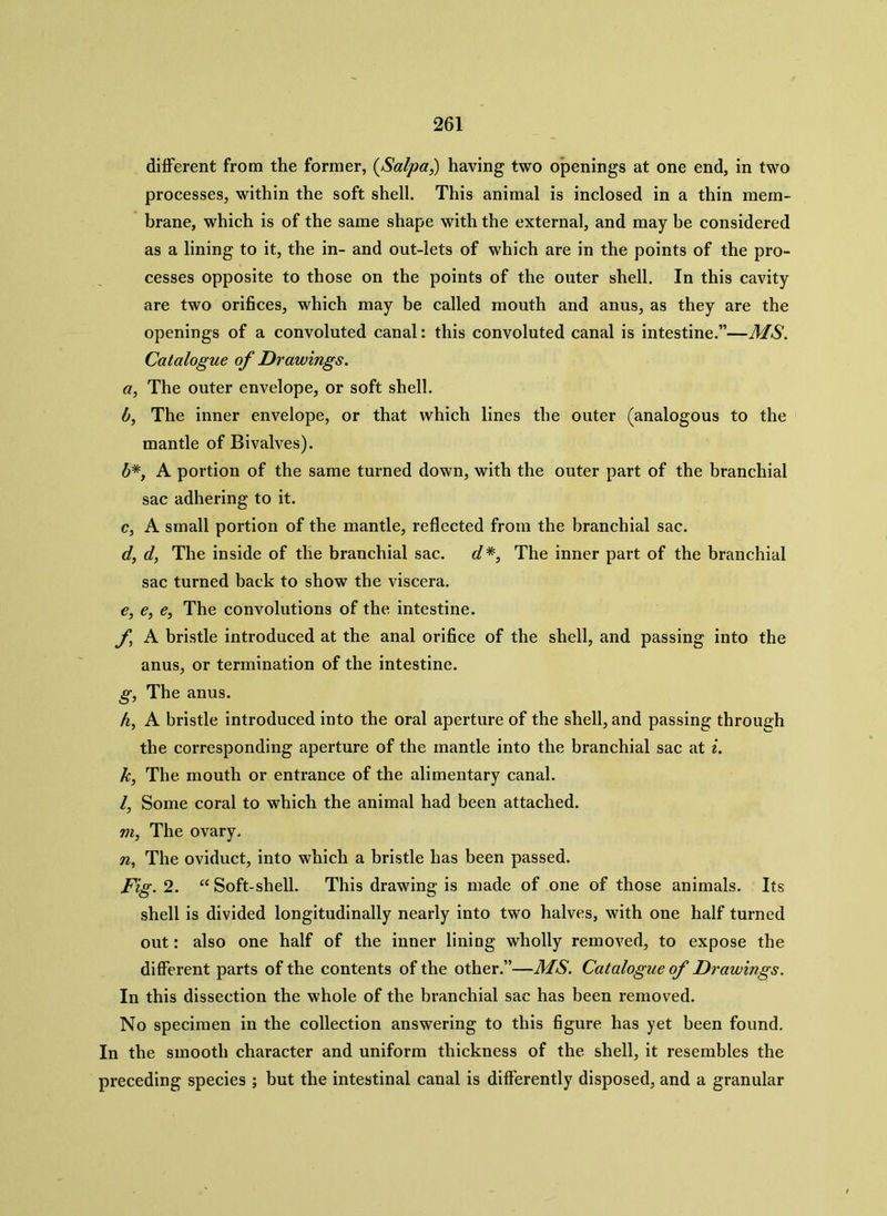 different from the former, (Salpa,) having two openings at one end, in two processes, within the soft shell. This animal is inclosed in a thin mem- brane, which is of the same shape with the external, and may be considered as a lining to it, the in- and out-lets of which are in the points of the pro- cesses opposite to those on the points of the outer shell. In this cavity are two orifices, which may be called mouth and anus, as they are the openings of a convoluted canal: this convoluted canal is intestine.”—MS. Catalogue of Drawings. a, The outer envelope, or soft shell. b, The inner envelope, or that which lines the outer (analogous to the mantle of Bivalves). b*, A portion of the same turned down, with the outer part of the branchial sac adhering to it. c, A small portion of the mantle, reflected from the branchial sac. d, d, The inside of the branchial sac. d*, The inner part of the branchial sac turned back to show the viscera. e, e, e, The convolutions of the intestine. f\ A bristle introduced at the anal orifice of the shell, and passing into the anus, or termination of the intestine. g, The anus. A, A bristle introduced into the oral aperture of the shell, and passing through the corresponding aperture of the mantle into the branchial sac at i. k, The mouth or entrance of the alimentary canal. l, Some coral to which the animal had been attached. m, The ovary. n, The oviduct, into which a bristle has been passed. Fig. 2. “ Soft-shell. This drawing is made of one of those animals. Its shell is divided longitudinally nearly into two halves, with one half turned out: also one half of the inner lining wholly removed, to expose the different parts of the contents of the other.”—MS. Catalogue of Drawings. In this dissection the whole of the branchial sac has been removed. No specimen in the collection answering to this figure has yet been found. In the smooth character and uniform thickness of the shell, it resembles the preceding species ; but the intestinal canal is differently disposed, and a granular