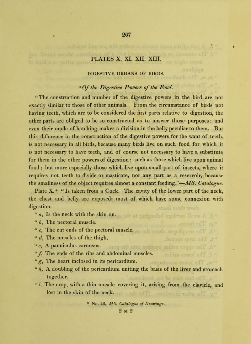 PLATES X. XI. XII. XIII. DIGESTIVE ORGANS OF BIRDS. “ Of the Digestive Poivers of the Fowl. “ The construction and number of the digestive powers in the bird are not exactly similar to those of other animals. From the circumstance of birds not having teeth, which are to be considered the first parts relative to digestion, the other parts are obliged to be so constructed as to answer those purposes: and even their mode of hatching makes a division in the belly peculiar to them. But this difference in the construction of the digestive powers for the want of teeth, is not necessary in all birds, because many birds live on such food for which it is not necessary to have teeth, and of course not necessary to have a substitute for them in the other powers of digestion ; such as those which live upon animal food; but more especially those which live upon small part of insects, where it requires not teeth to divide or masticate, nor any part as a reservoir, because the smallness of the object requires almost a constant feeding.”-—MS. Catalogue. Plate X. * “ Is taken from a Cock. The cavity of the lower part of the neck, the chest and belly are exposed; most of which have some connexion with digestion. “ a, Is the neck with the skin on. “ b, The pectoral muscle. “ c, The cut ends of the pectoral muscle. “ d, The muscles of the thigh. “ e, A panniculus carnosus. uf The ends of the ribs and abdominal muscles. “ g, The heart inclosed in its pericardium. “ h, A doubling of the pericardium uniting the basis of the liver and stomach together. “ i, The crop, with a thin muscle covering it, arising from the clavicle, and lost in the skin of the neck. * No. 45, MS. Catalogue of Drawings. 2 m 2