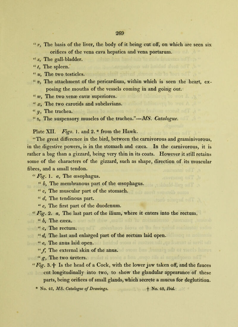 “ r, The basis of the liver, the body of it being cut off, on which are seen six orifices of the vena cava hepatica and vena portarum. “ s, The gall-bladder. “ t, The spleen. “ u, The two testicles. “ v, The attachment of the pericardium, within which is seen the heart, ex- posing the mouths of the vessels coming in and going out. “ w, The two venae cavae superiores. “ oc, The two carotids and subclavians. “ y, The trachea. “ z, The suspensory muscles of the trachea.”—MS. Catalogue. Plate XII. Figs. 1. and 2. * from the Hawk. “The great difference in the bird, between the carnivorous and graminivorous, in the digestive powers, is in the stomach and caeca. In the carnivorous, it is rather a bag than a gizzard, being very thin in its coats. However it still retains some of the characters of the gizzard, such as shape, direction of its muscular fibres, and a small tendon. “ Fig. 1. a, The oesophagus. “ b, The membranous part of the oesophagus. “ c, The muscular part of the stomach. “ d, The tendinous part. “ e, The first part of the duodenum. “ Fig. 2. a, The last part of the ilium, where it enters into the rectum. “ by The caeca. “ Cy The rectum. “ dy The last and enlarged part of the rectum laid open. “ e, The anus laid open. “ The external skin of the anus. “ gy The two ureters. “Fig. 3.^ Is the head of a Cock, with the lower jaw taken off, and the fauces cut longitudinally into two, to show the glandular appearance of these parts, being orifices of small glands, which secrete a mucus for deglutition.