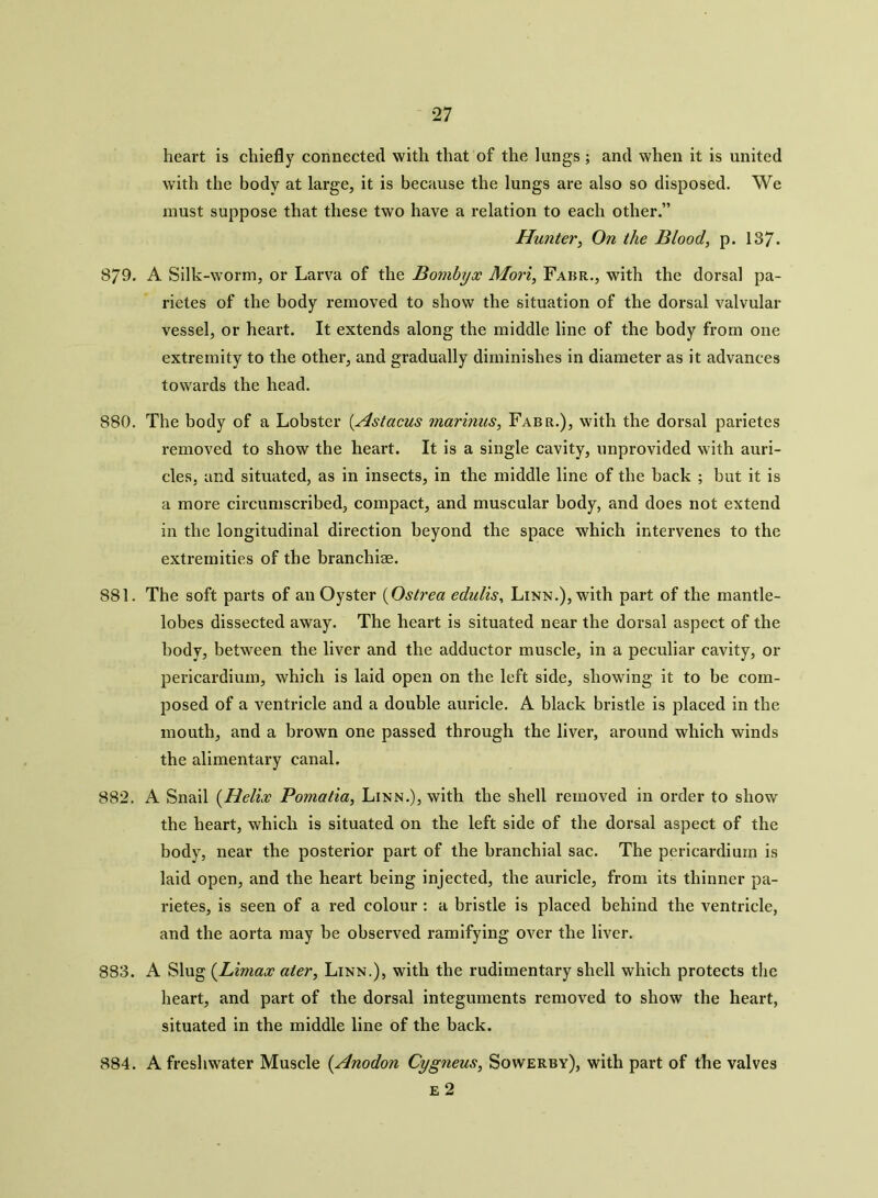 heart is chiefly connected with that of the lungs ; and when it is united with the body at large, it is because the lungs are also so disposed. We must suppose that these two have a relation to each other.” Hunter, On the Blood, p. IS/. 879. A Silk-worm, or Larva of the Bombyx Mori, Fabr., with the dorsal pa- rietes of the body removed to show the situation of the dorsal valvular vessel, or heart. It extends along the middle line of the body from one extremity to the other, and gradually diminishes in diameter as it advances towards the head. 880. The body of a Lobster (Astacus marinus, Fabr.), with the dorsal parietcs removed to show the heart. It is a single cavity, unprovided with auri- cles, and situated, as in insects, in the middle line of the back ; but it is a more circumscribed, compact, and muscular body, and does not extend in the longitudinal direction beyond the space which intervenes to the extremities of the branchiae. 881. The soft parts of an Oyster (Ostrea edulis, Linn.), with part of the mantle- lobes dissected away. The heart is situated near the dorsal aspect of the body, between the liver and the adductor muscle, in a peculiar cavity, or pericardium, which is laid open on the left side, showing it to be com- posed of a ventricle and a double auricle. A black bristle is placed in the mouth, and a brown one passed through the liver, around which winds the alimentary canal. 882. A Snail (Helix Pomatia, Linn.), with the shell removed in order to show the heart, which is situated on the left side of the dorsal aspect of the body, near the posterior part of the branchial sac. The pericardium is laid open, and the heart being injected, the auricle, from its thinner pa- rietes, is seen of a red colour : a bristle is placed behind the ventricle, and the aorta may be observed ramifying over the liver. 883. A Slug (Limax ater, Linn.), with the rudimentary shell which protects the heart, and part of the dorsal integuments removed to show the heart, situated in the middle line of the back. 884. A freshwater Muscle (Anodon Cygneus, Sowerby), with part of the valves e 2